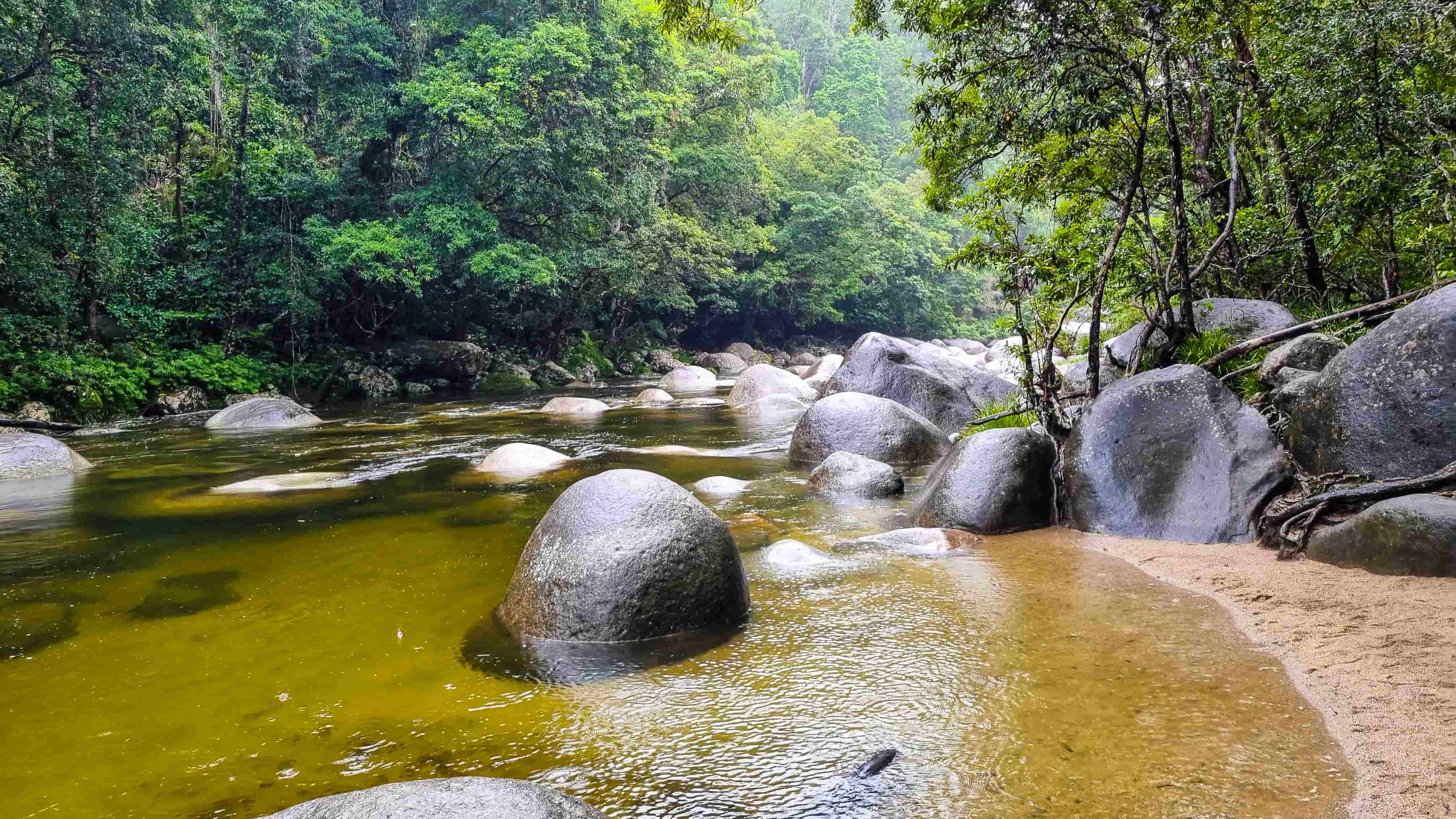 Mossman Gorge