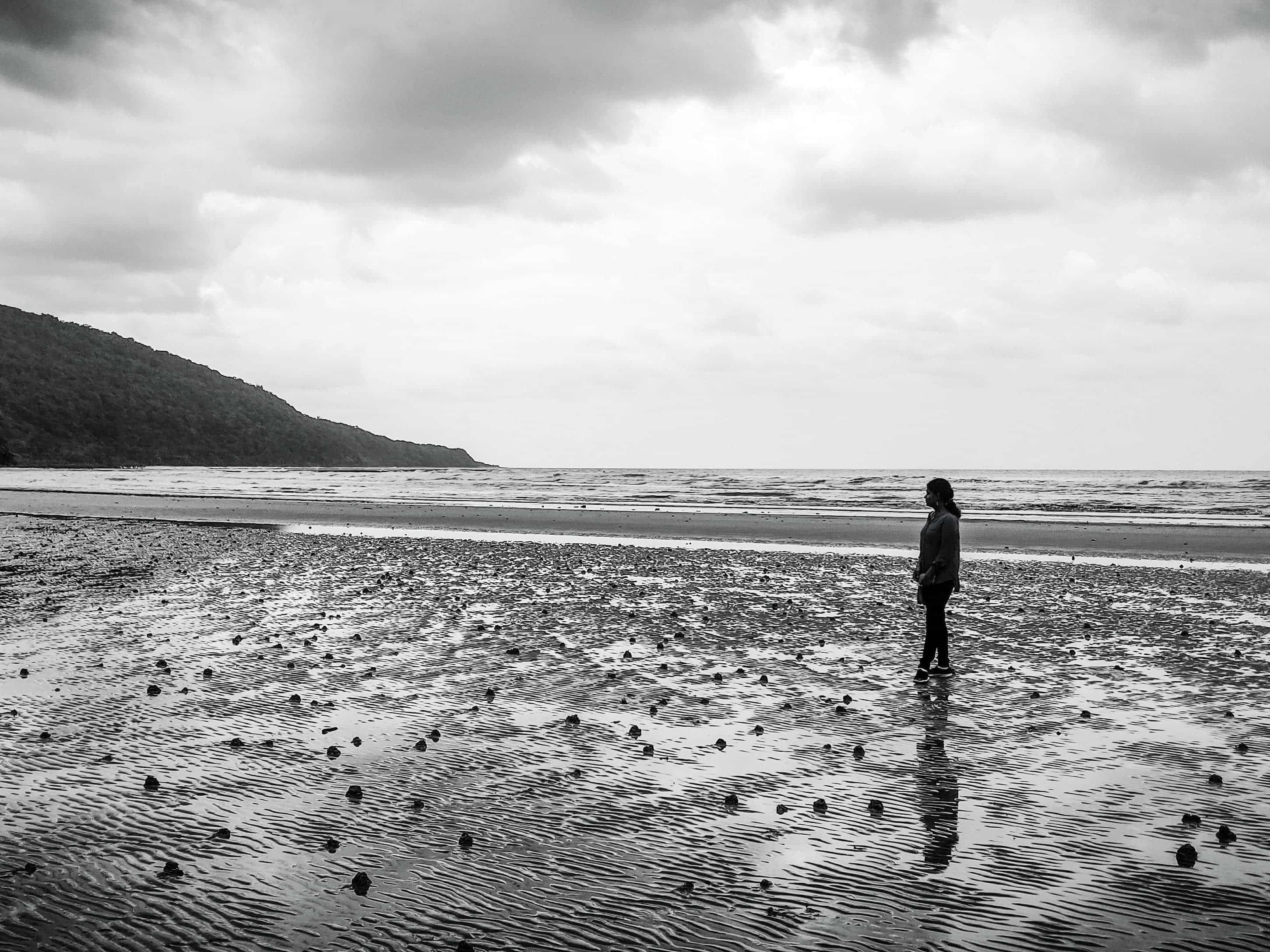 Daintree Tribulation