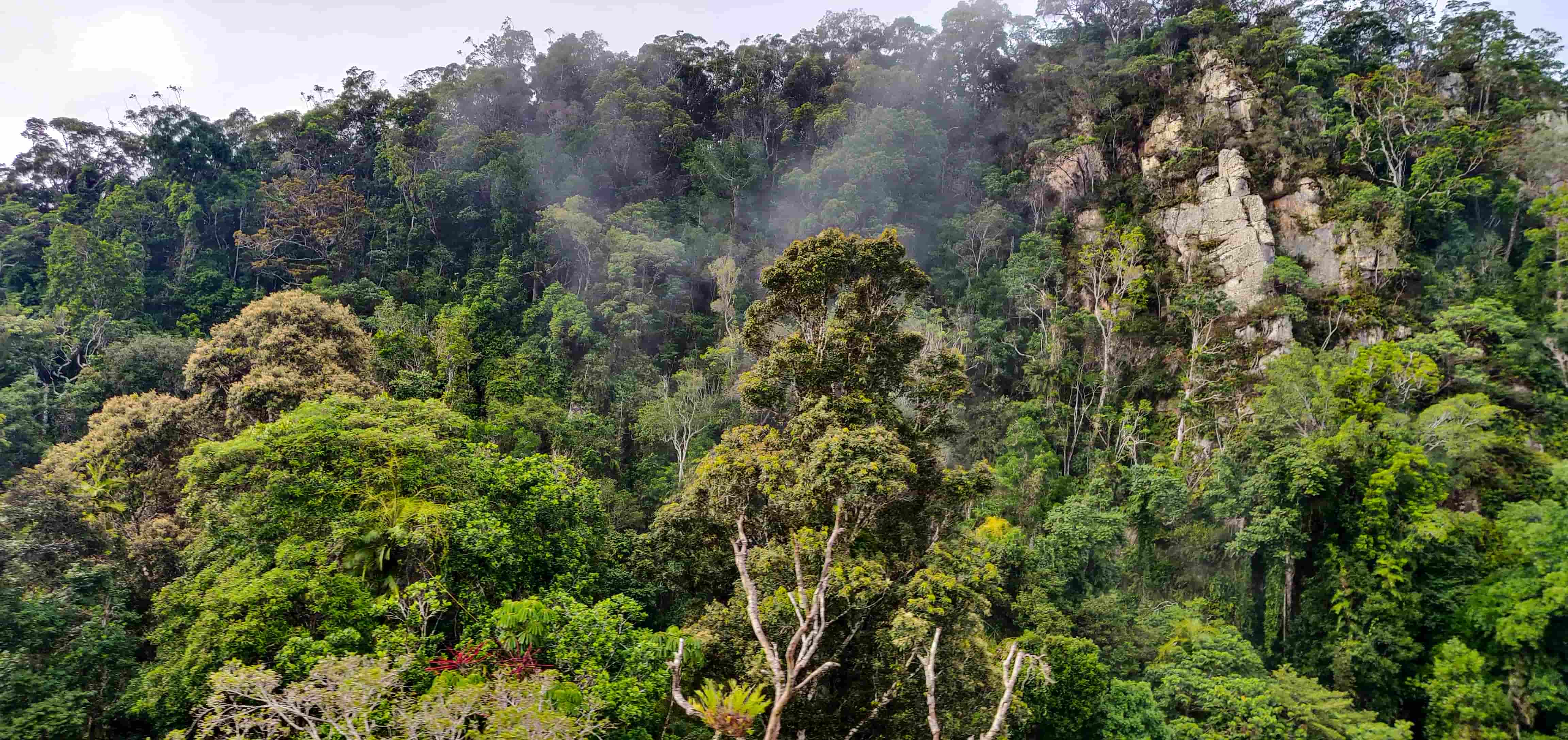 Kuranda Skyrail