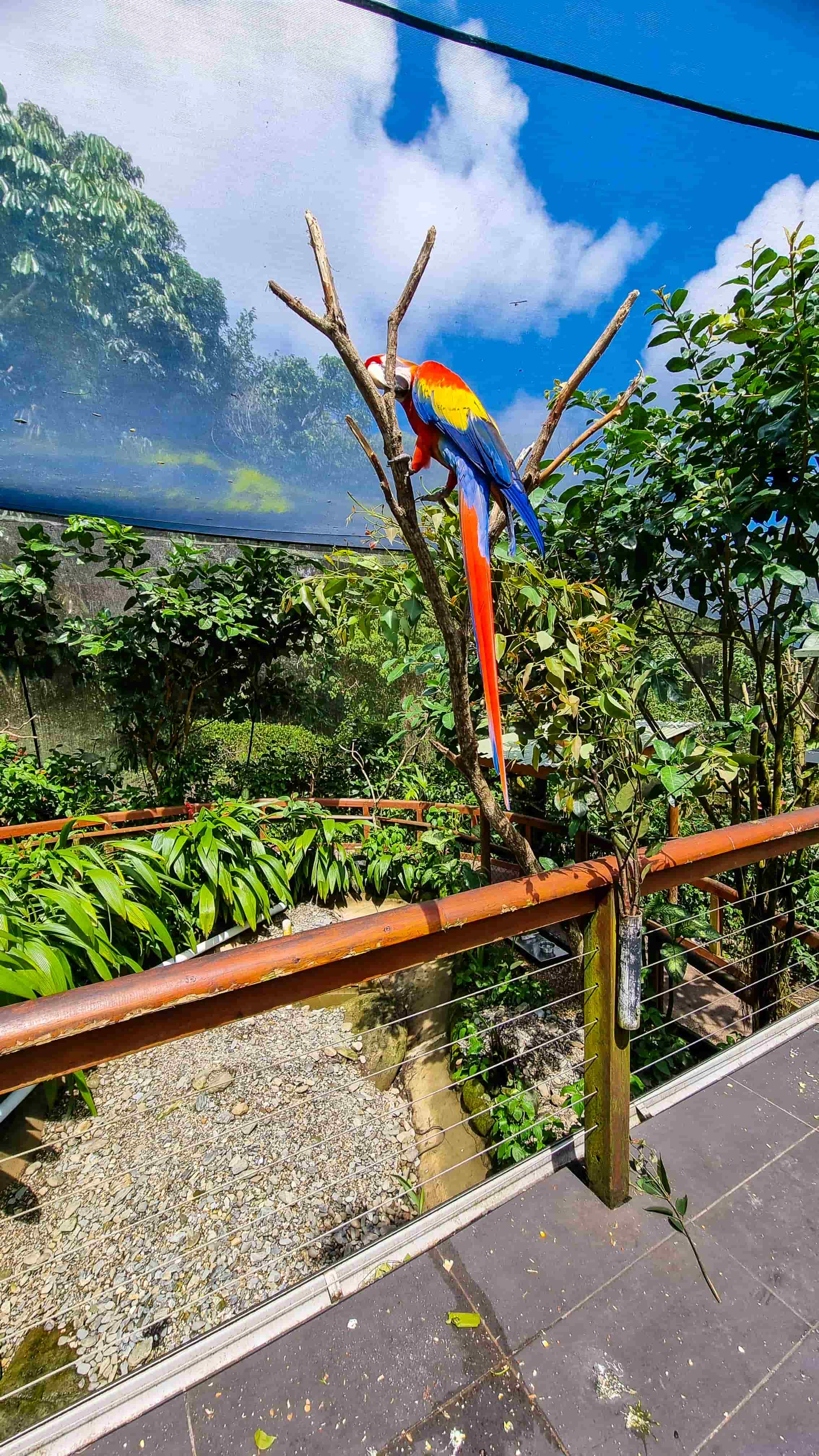 Birdworld Kuranda