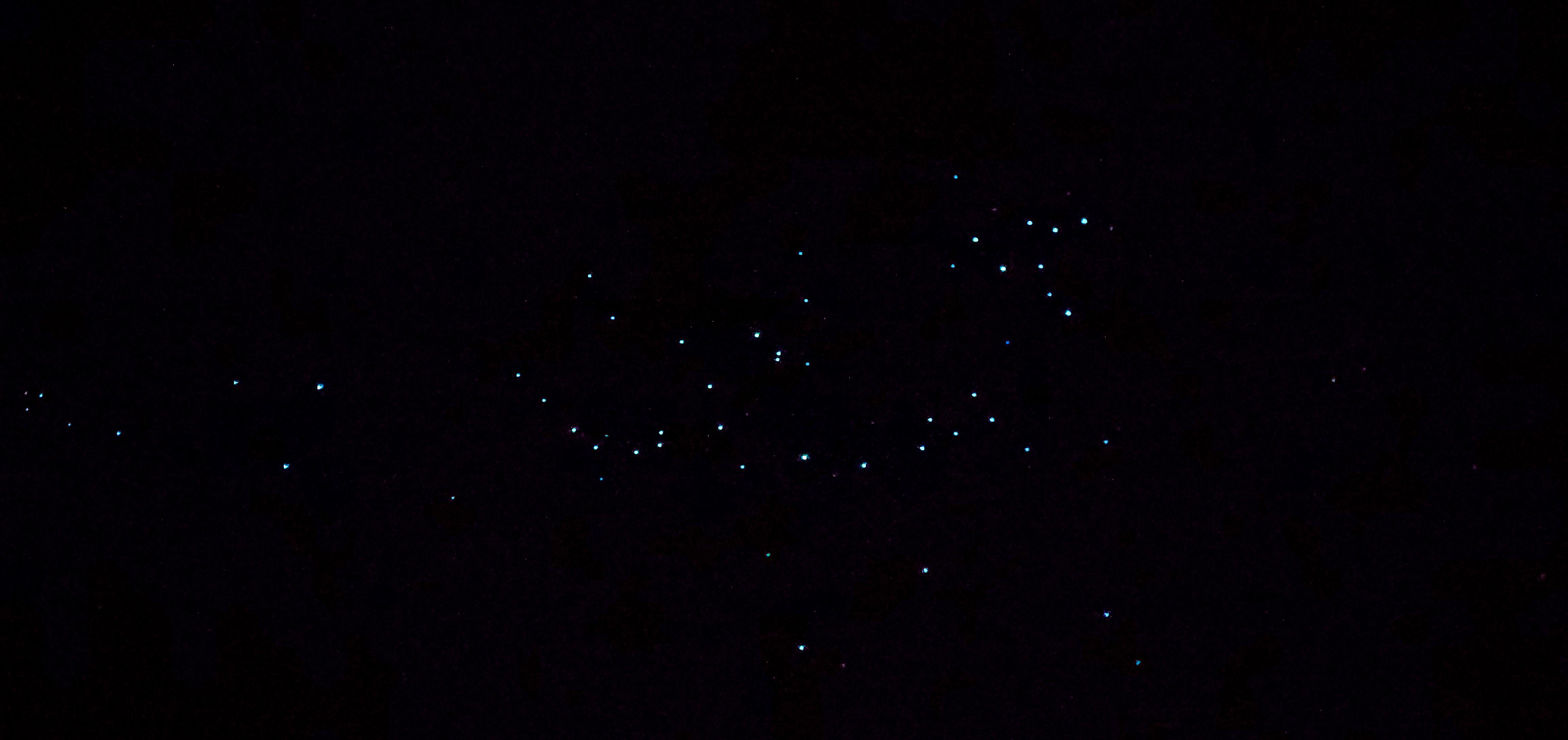 Glow worms in Natural Bridge, Springbrook National Park