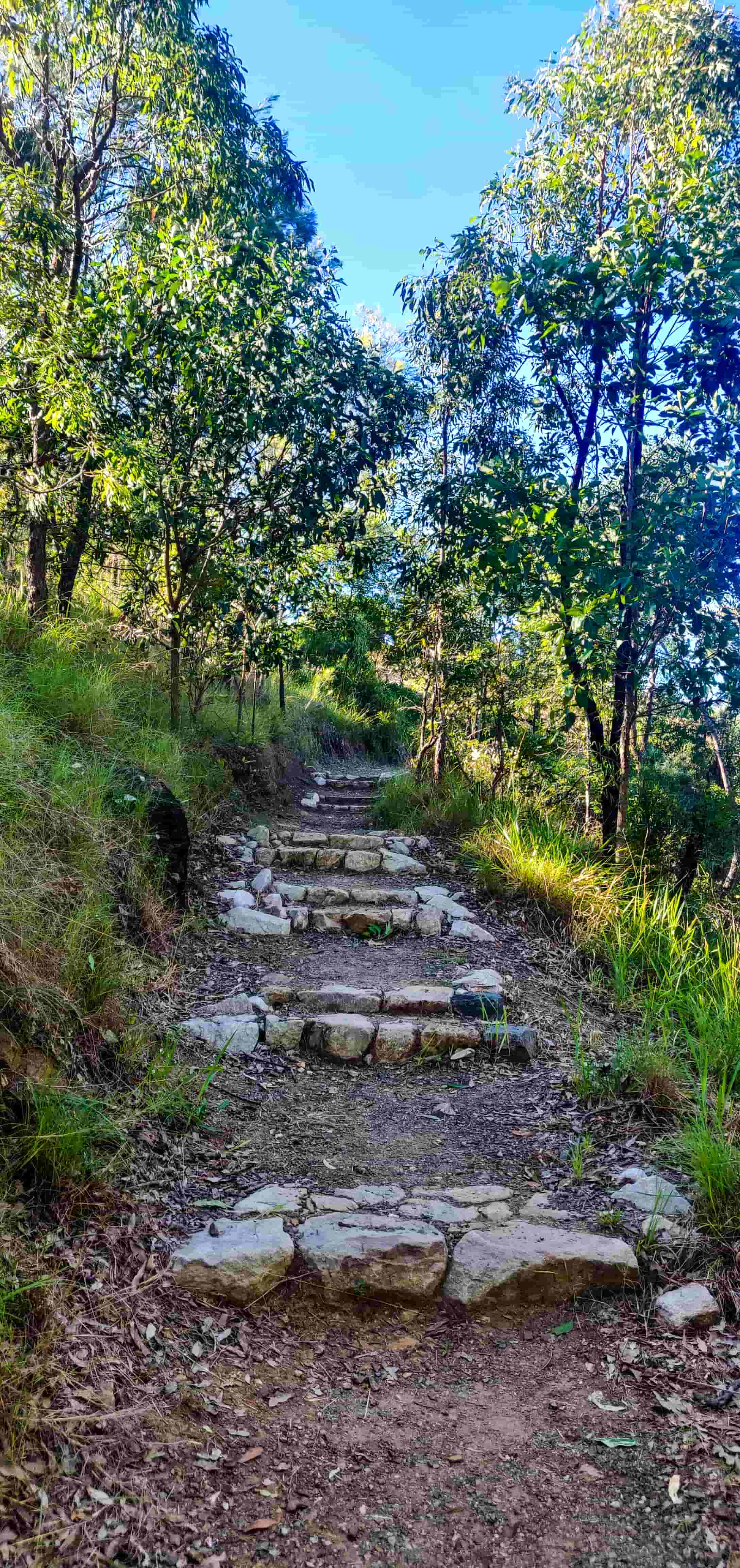 Glass House Mountains Lookout Track
