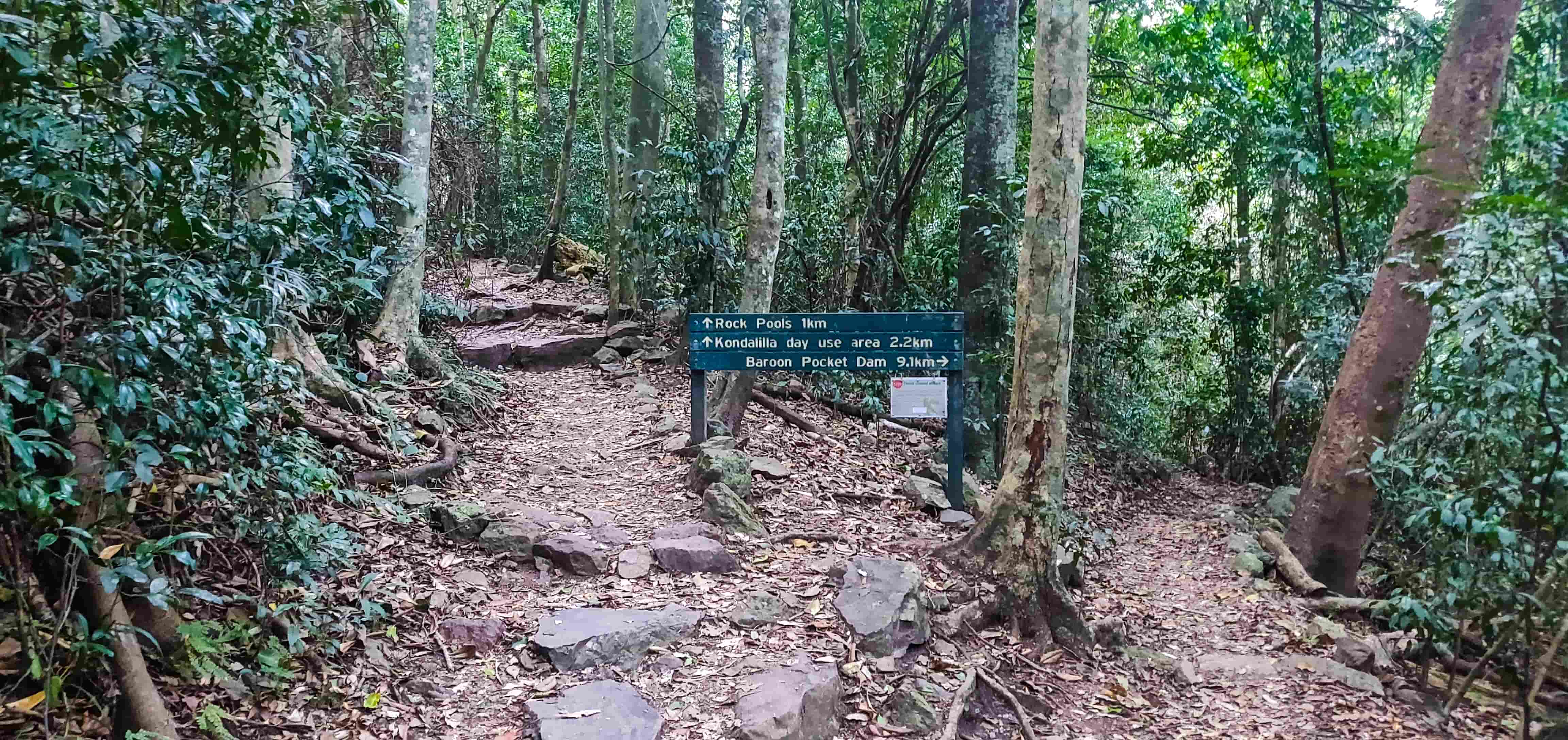 Kondalilla Falls Walking Trail