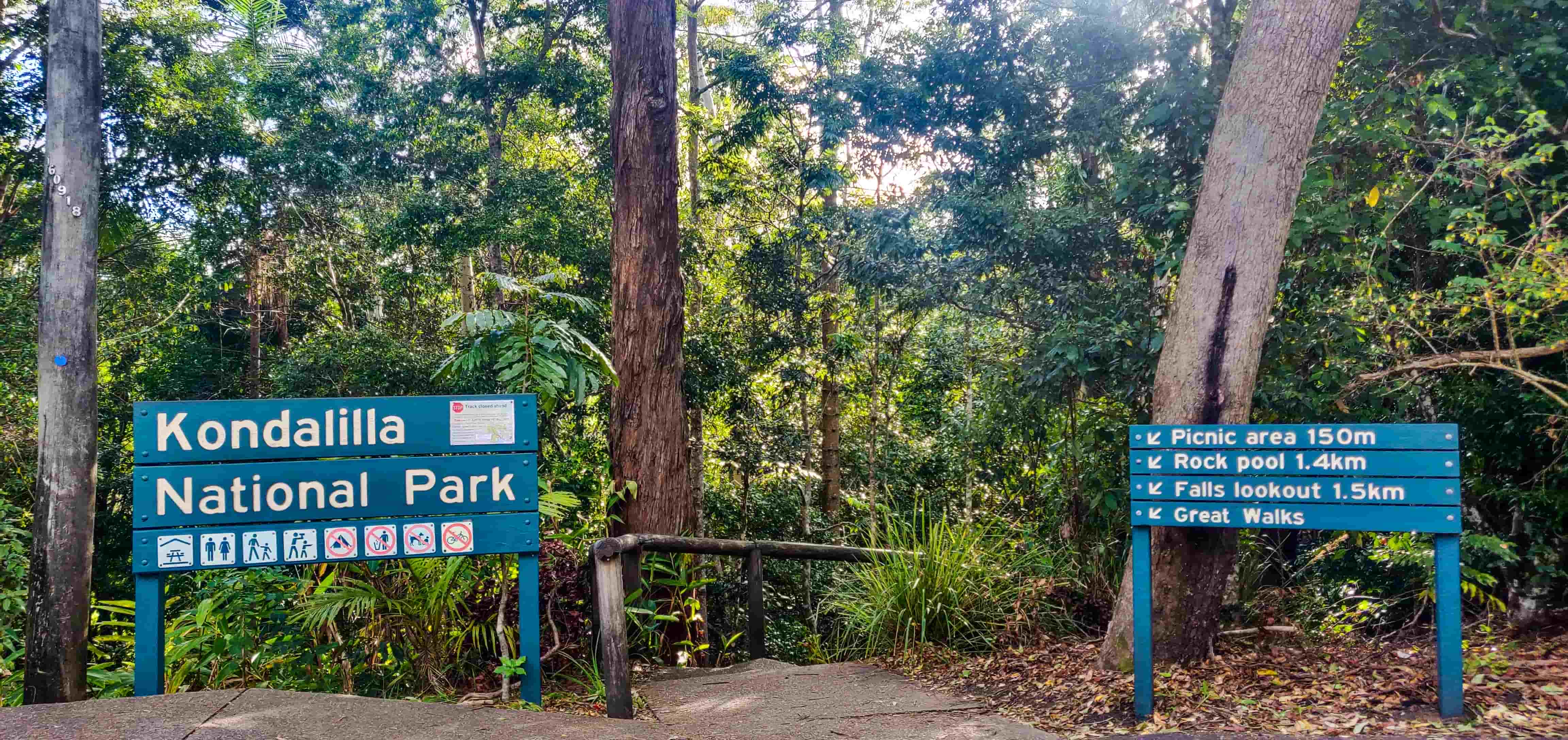 Kondalilla National Park