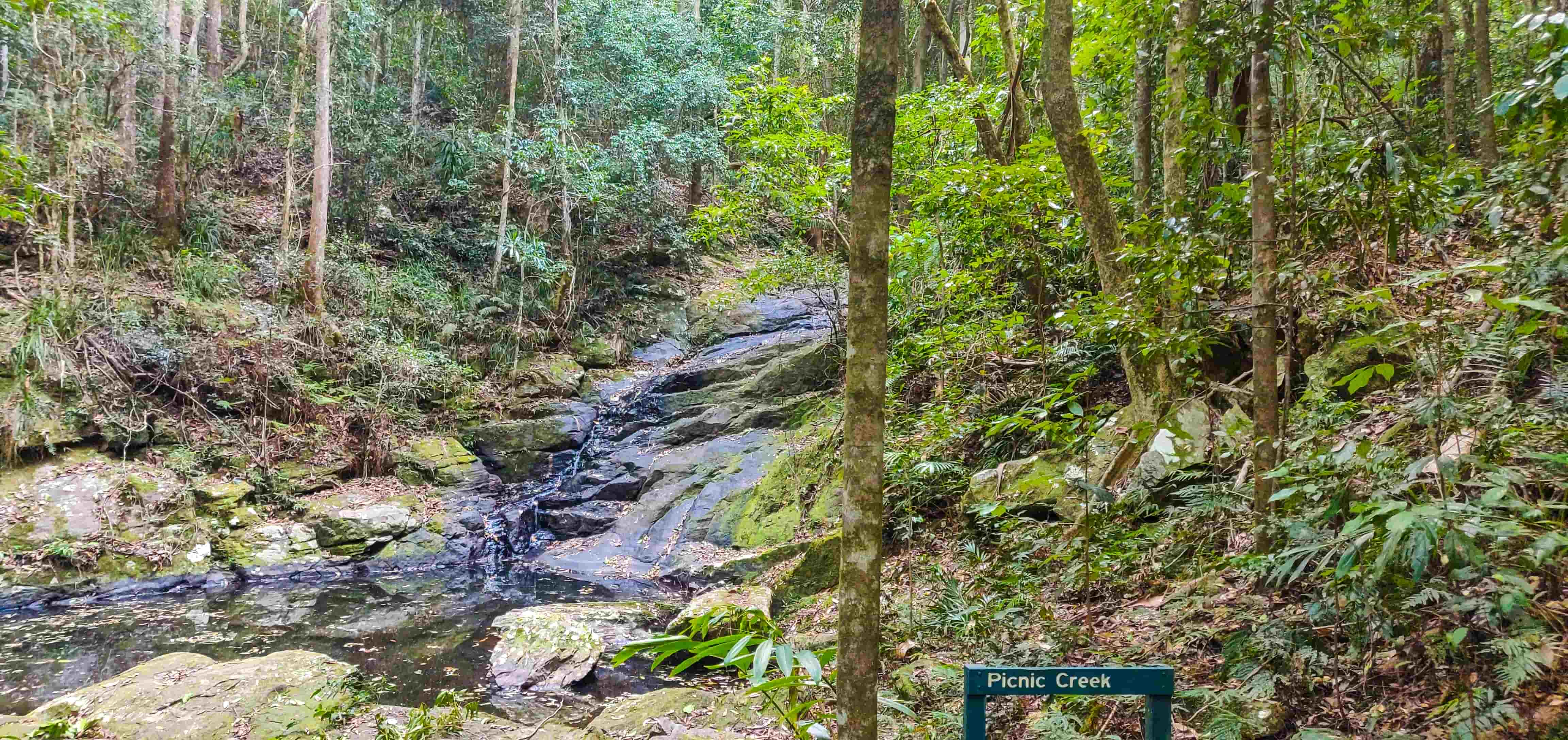 Kondalilla National Park Picnic Creek