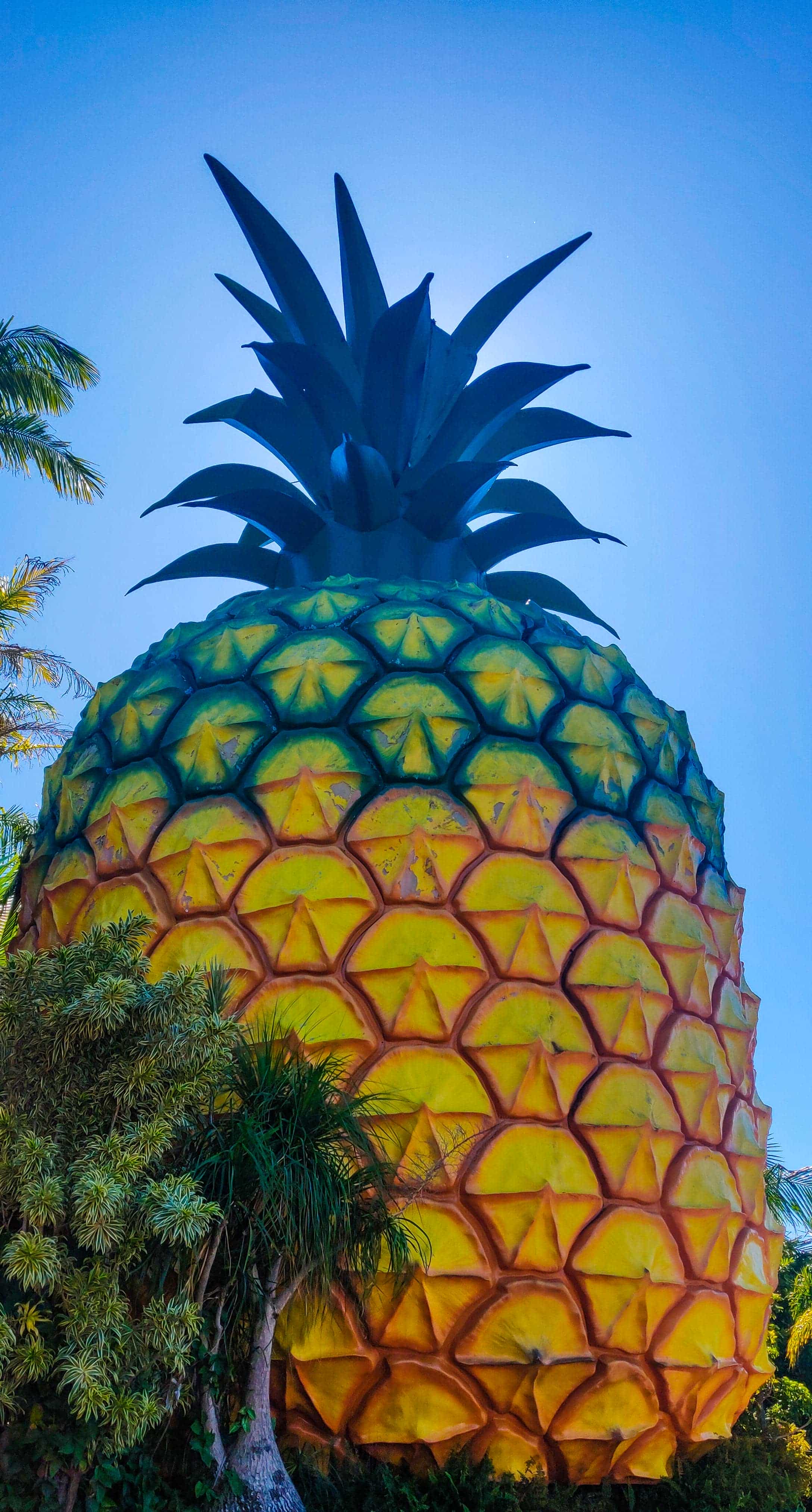 The Big Pineapple