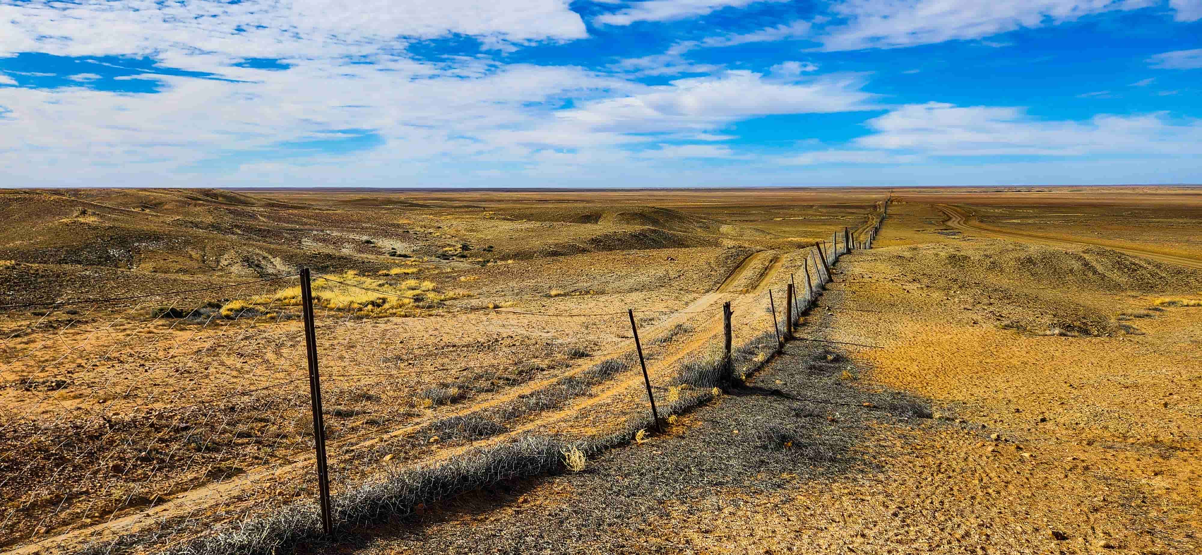 The Dingo Fence or Dog Fence