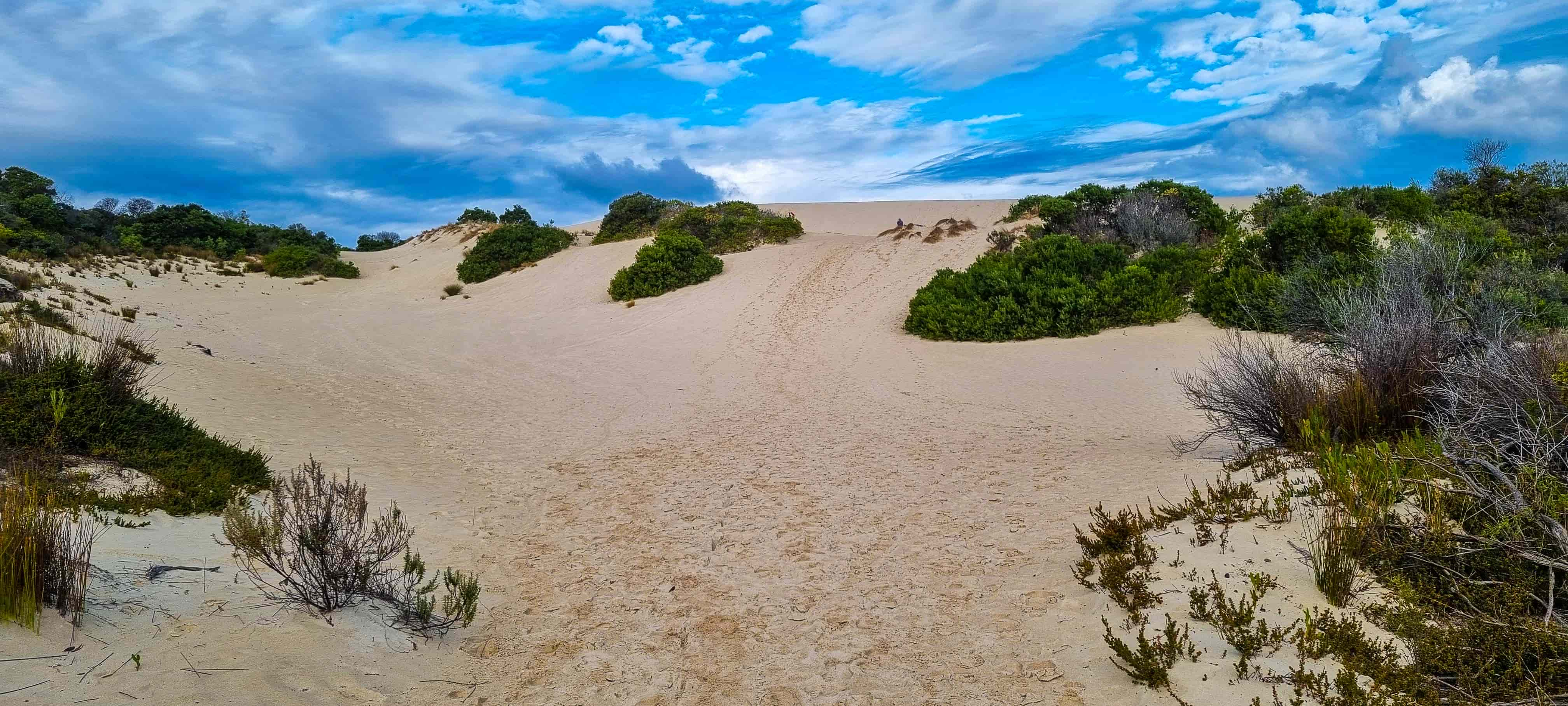 Sand Dunes at Little Sahara Adventure Centre in Kangaroo Island