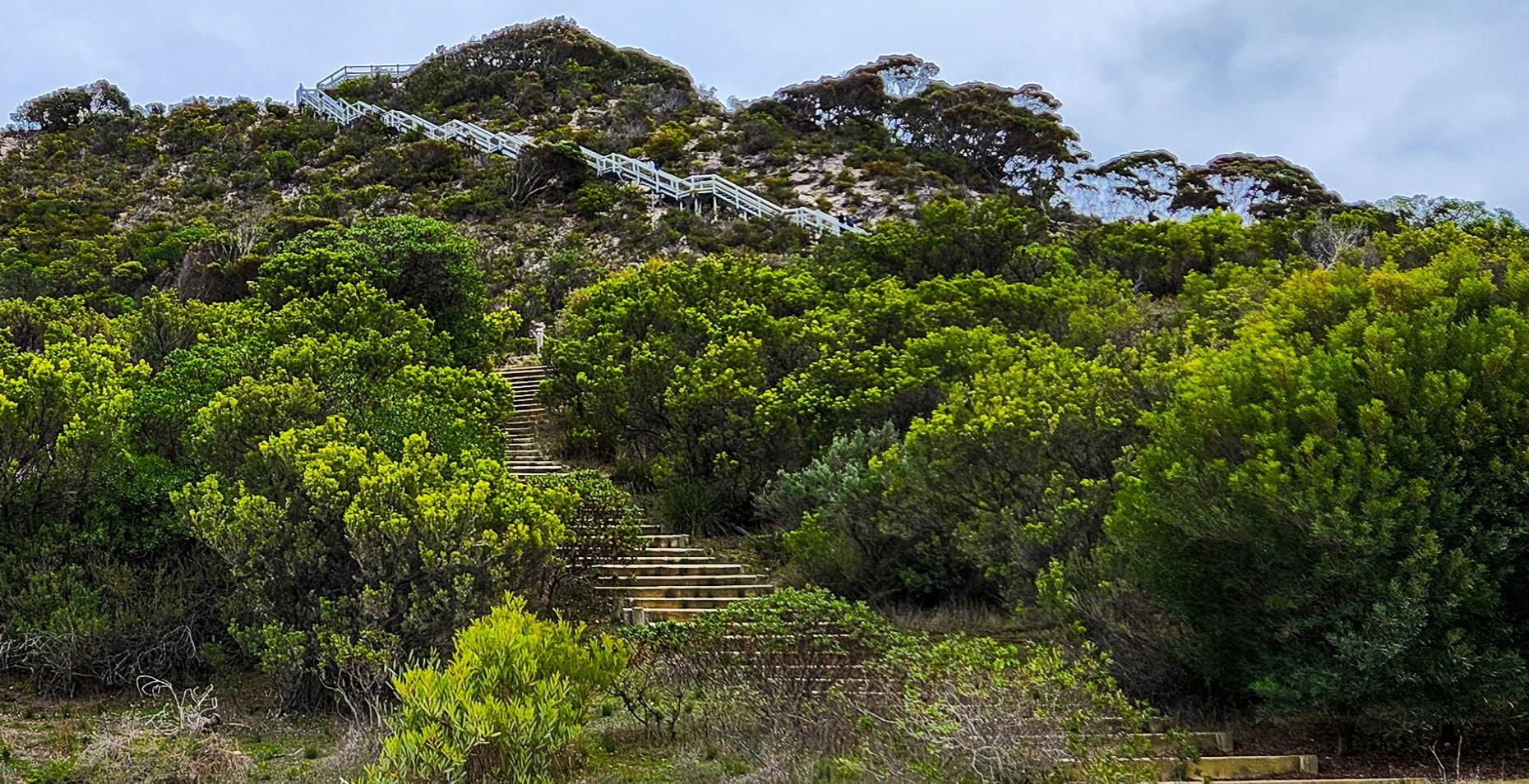 Stairs to Prospect Hill