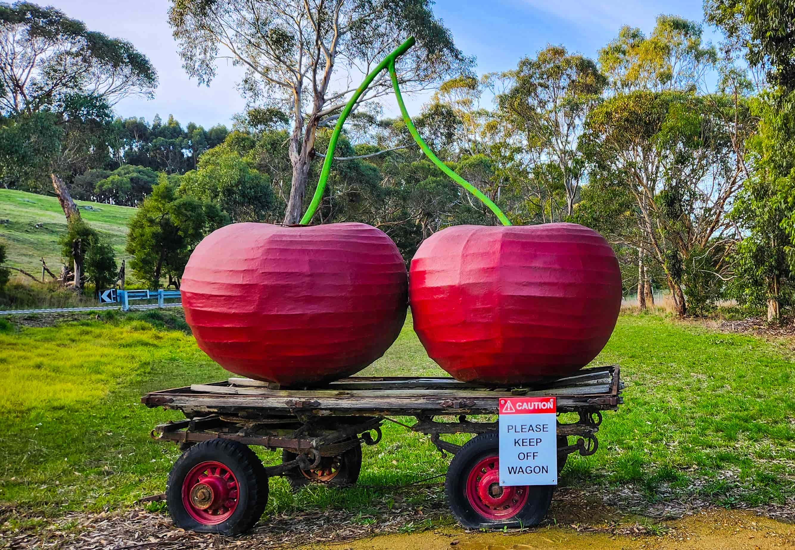 The Big Cherries in Pages Flat