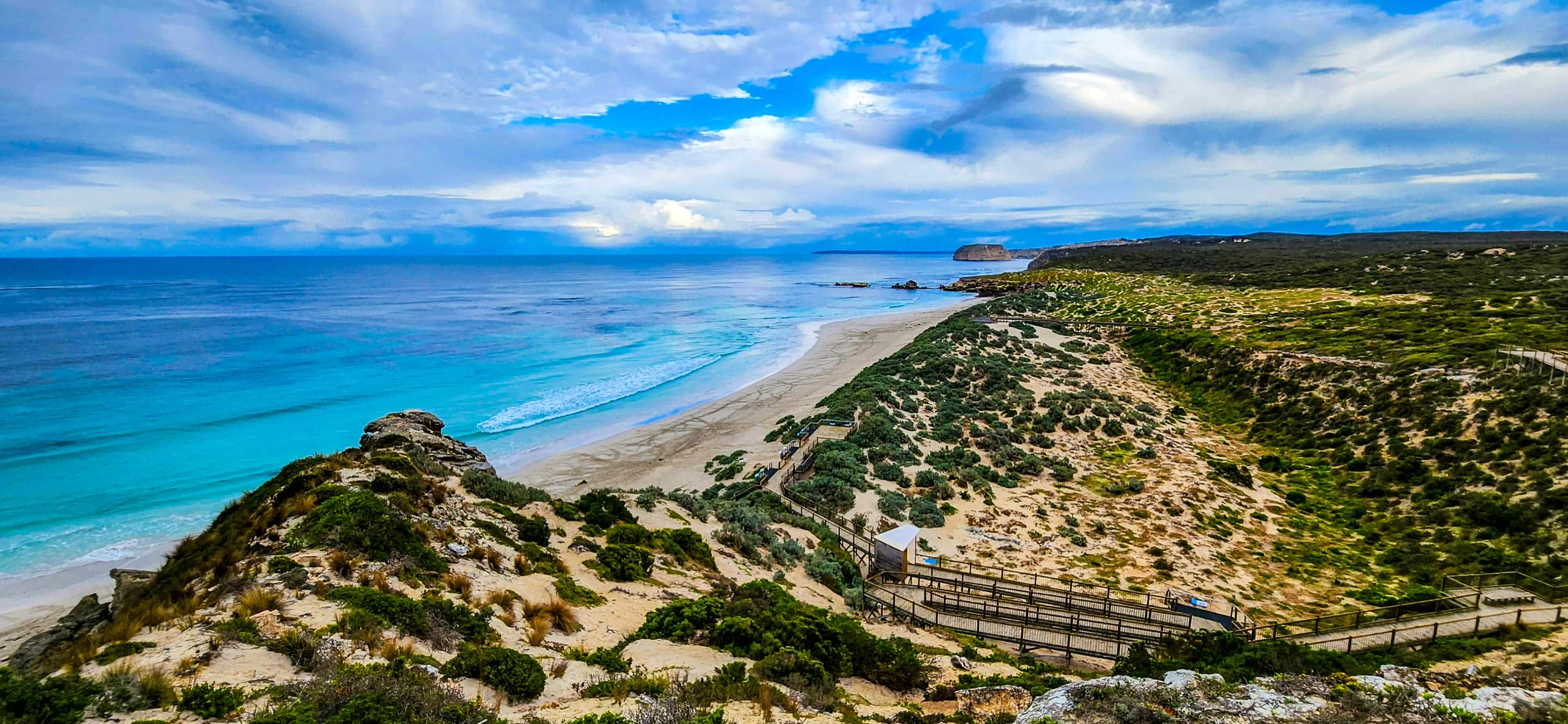 Views from Seal Bay Lookout