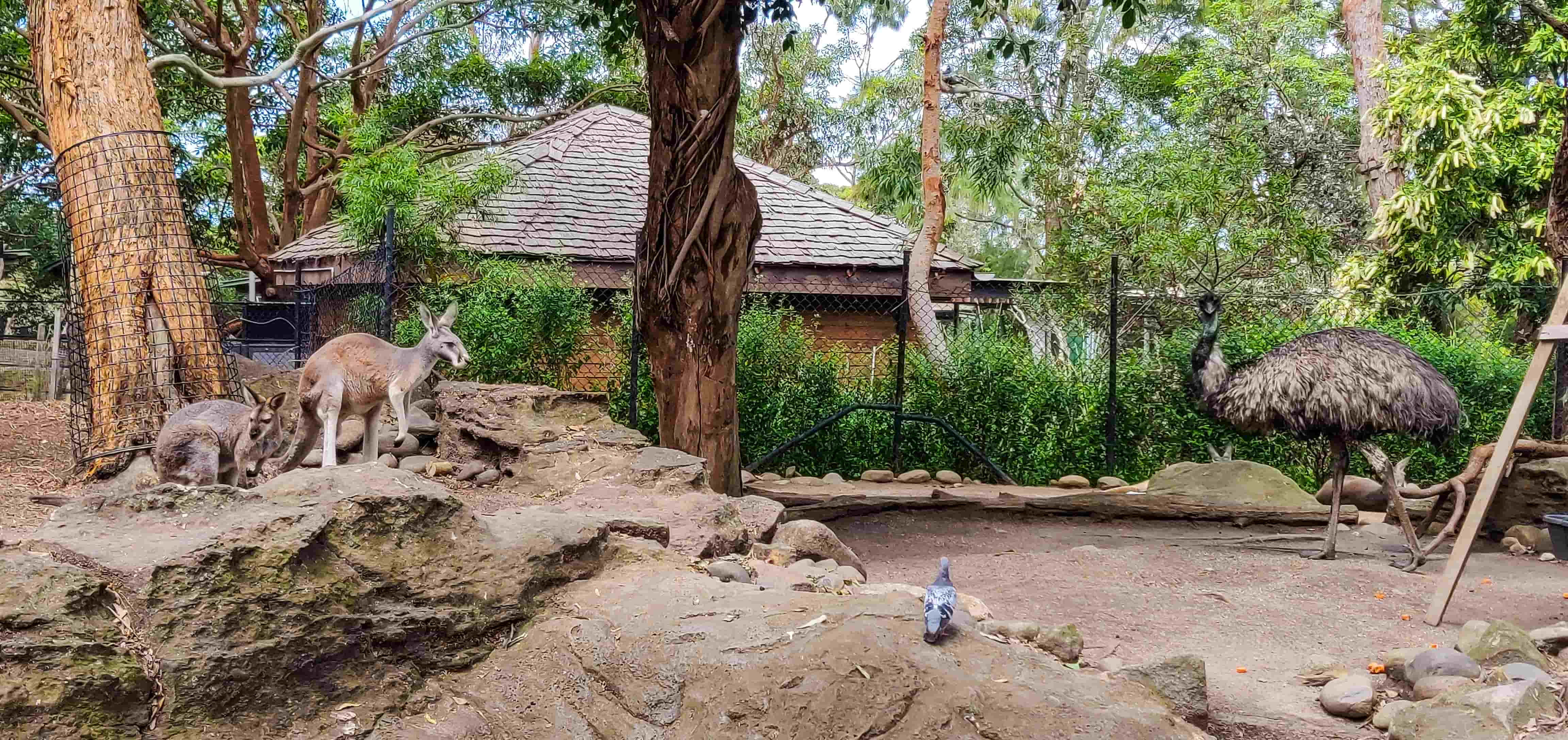 Taronga Zoo