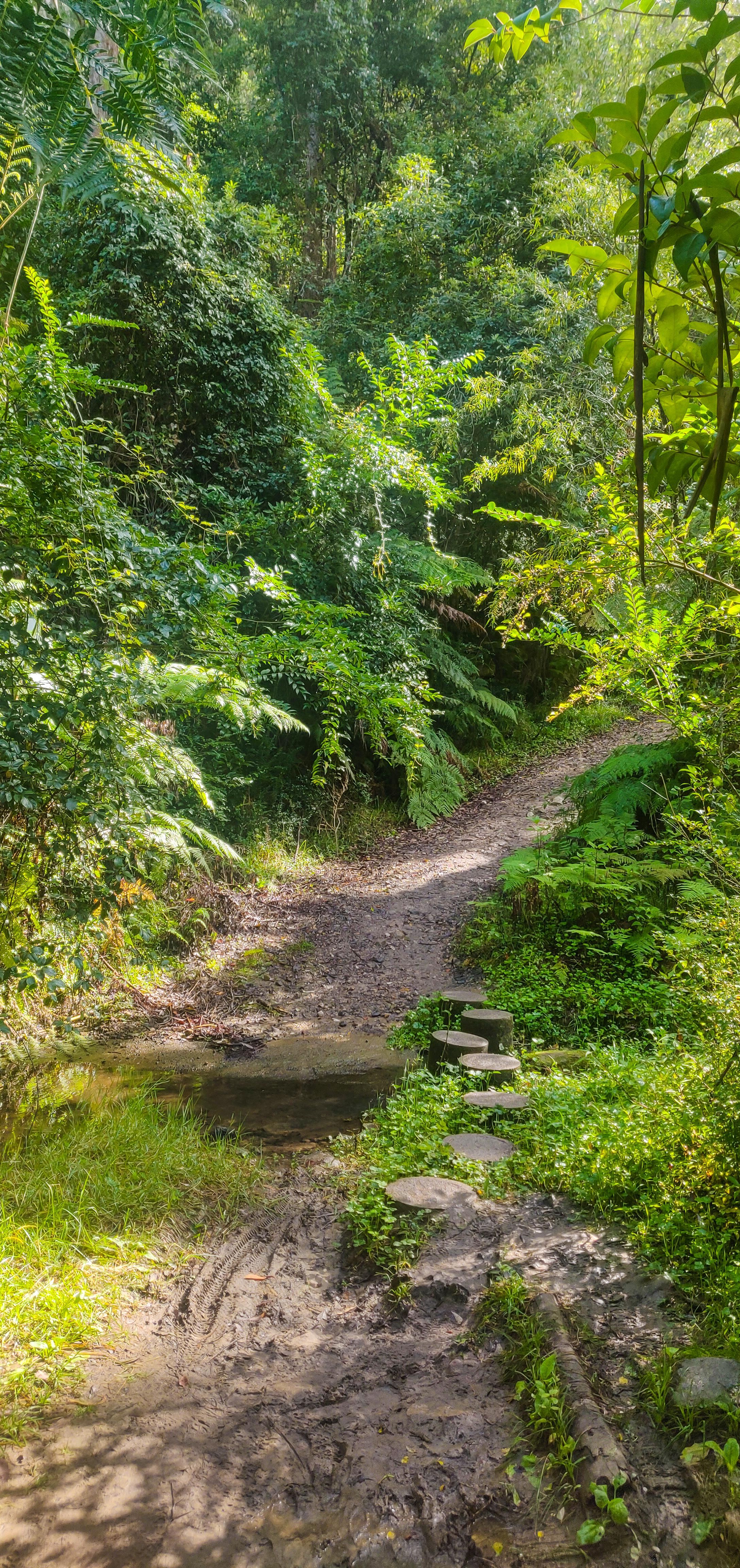 Old Mans Creek