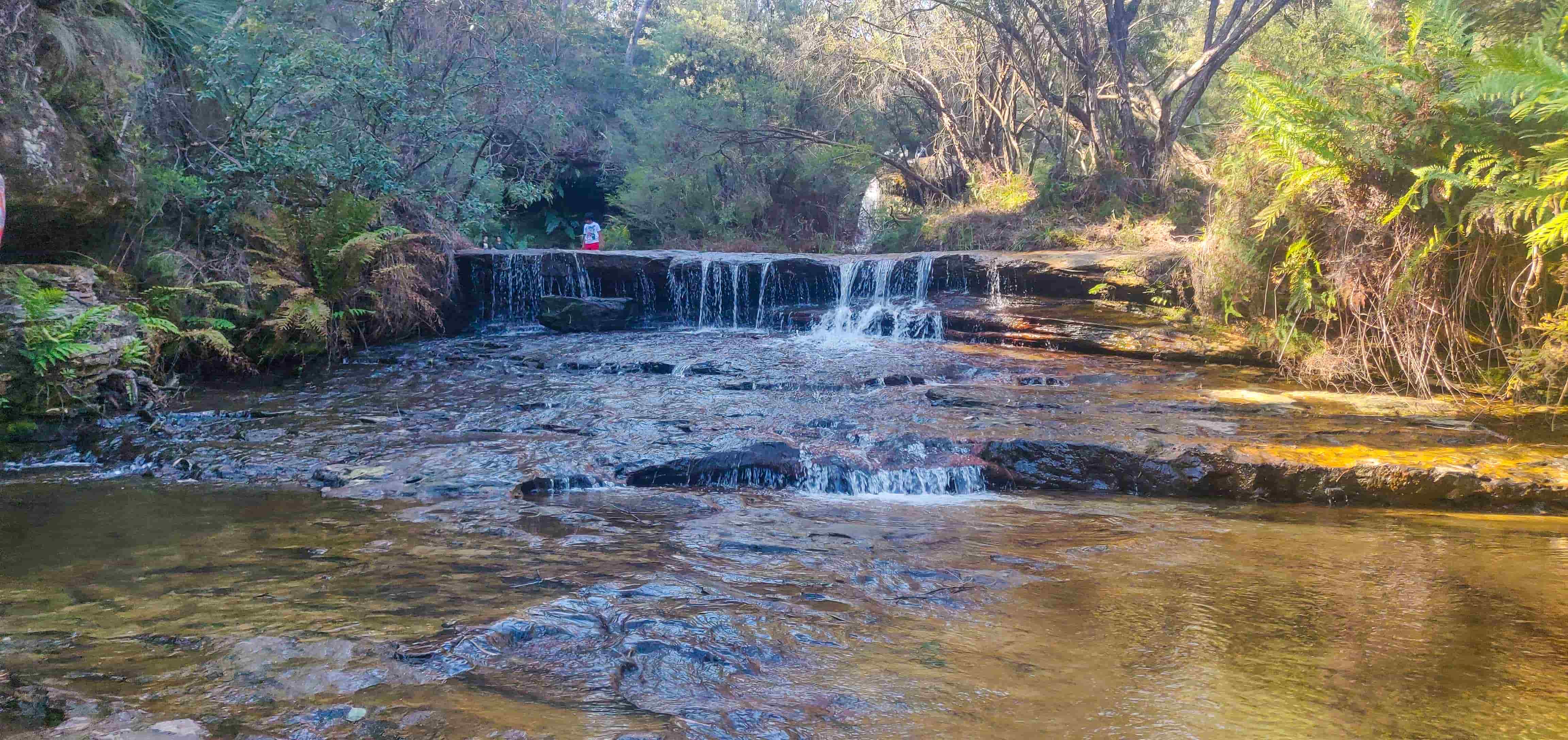 Wentworth Falls, Blue Mountains