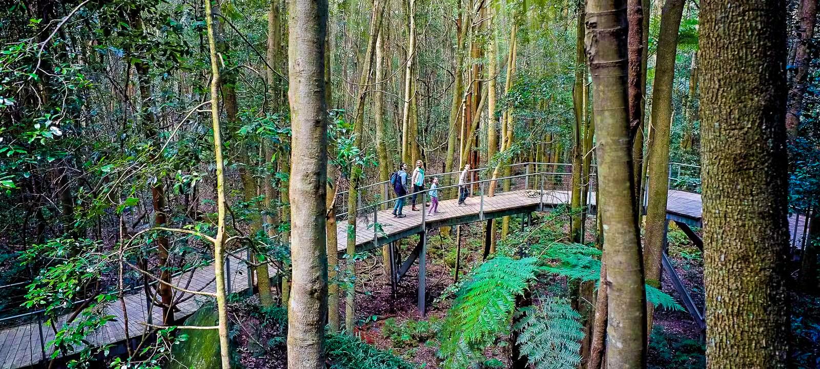 Scenic Walkway, Scenic World