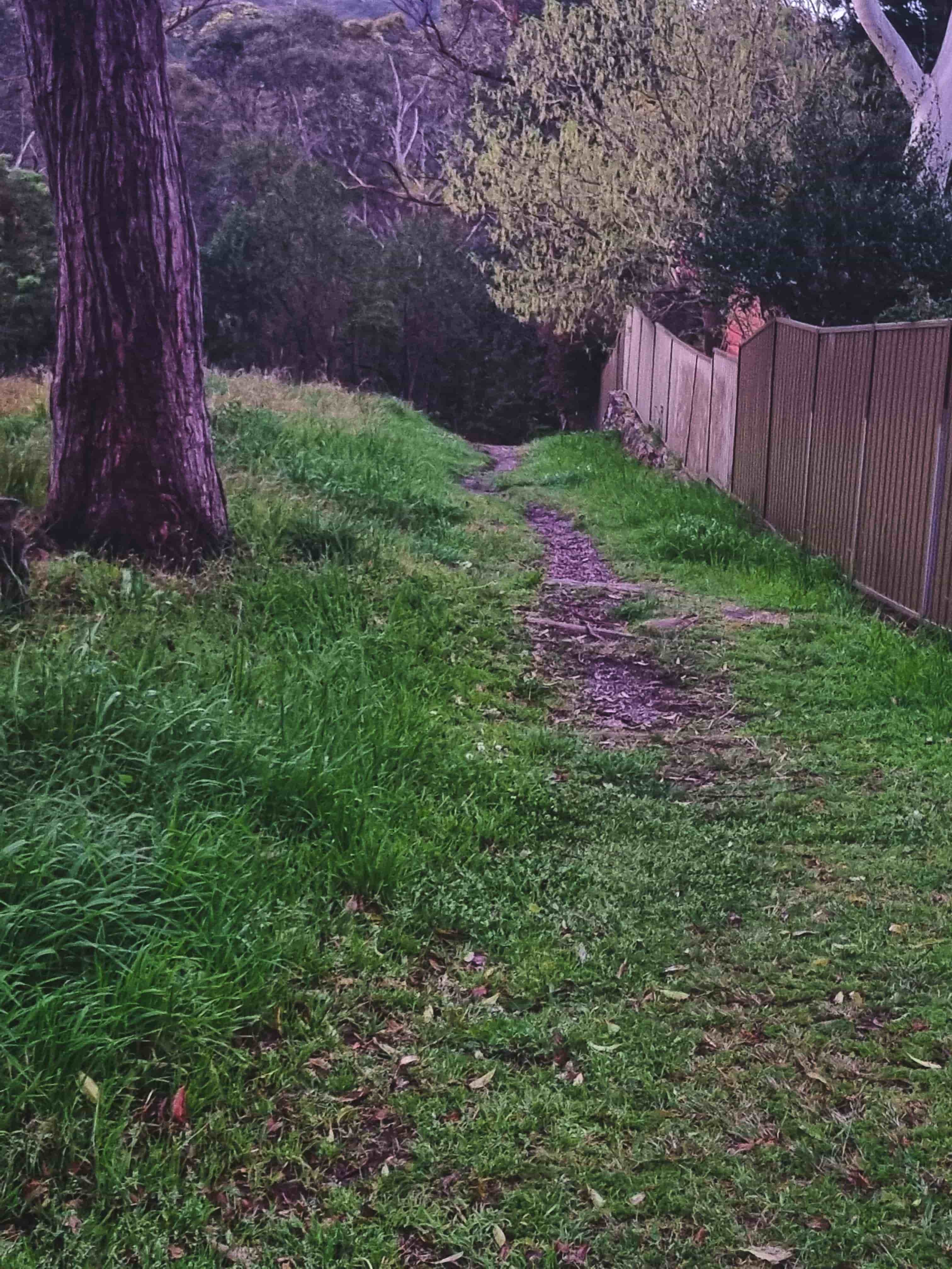 Birdwood Gully Entrance