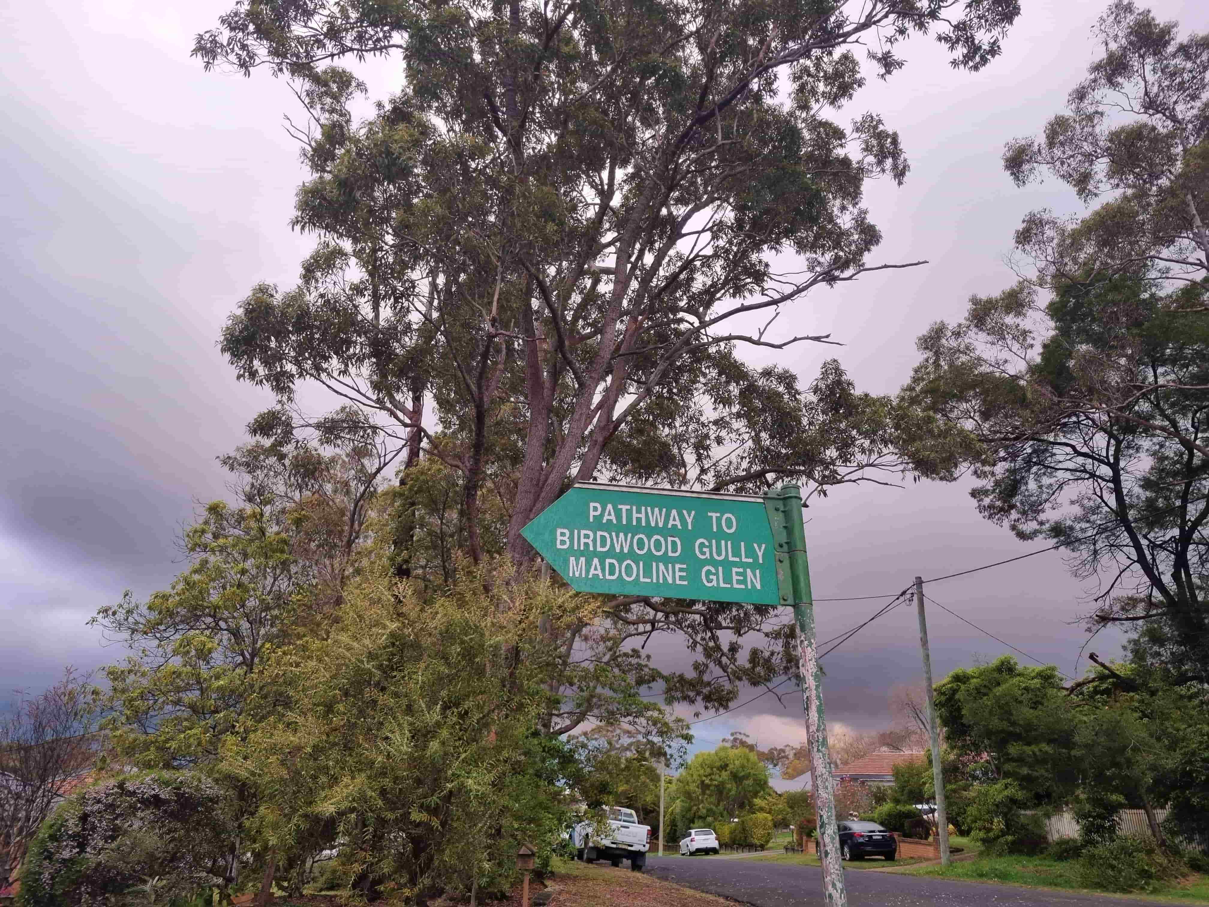 Birdwood Gully