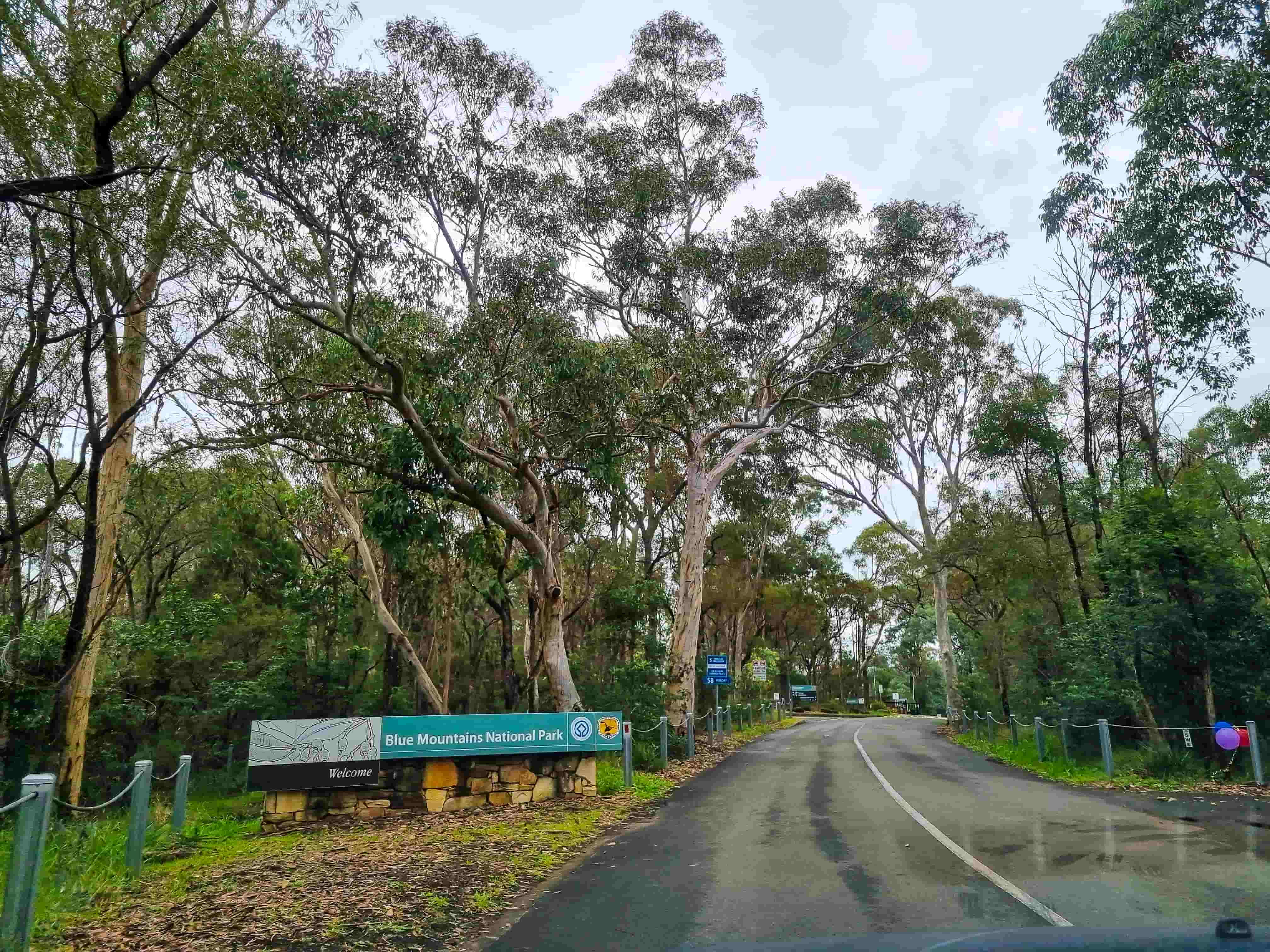 Jellybean Pool Entrance