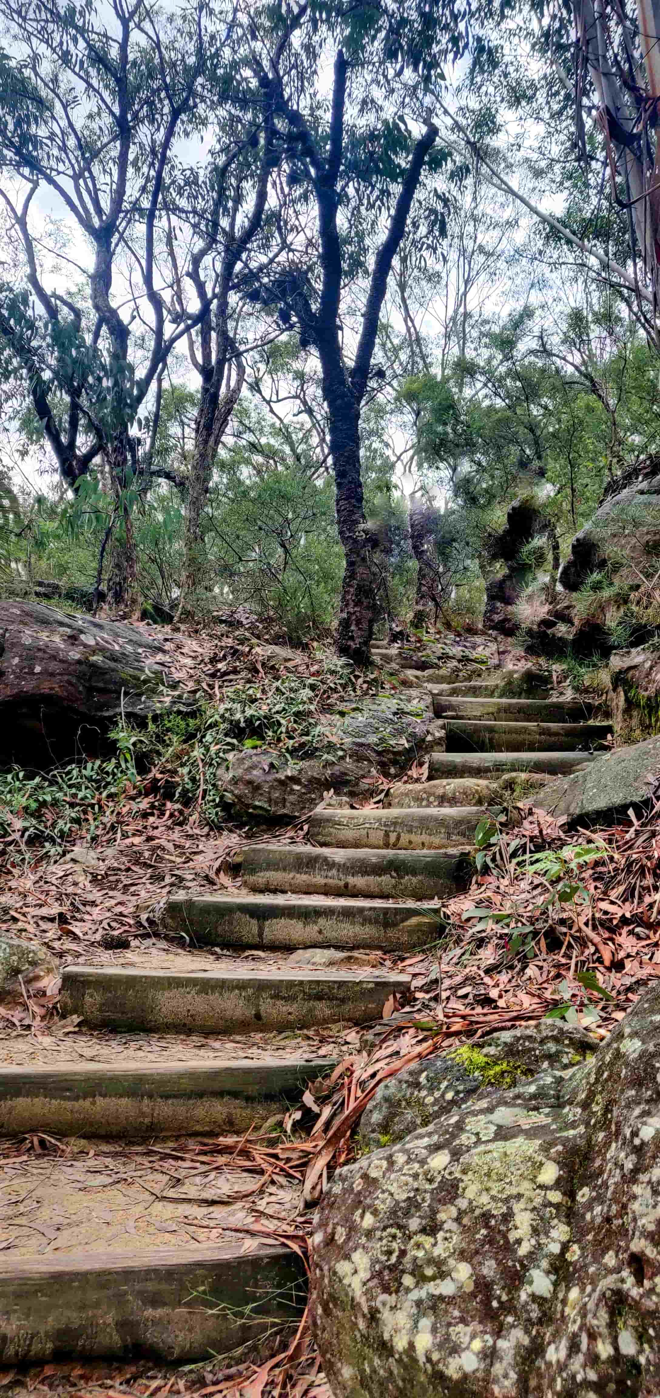 Jellybean Pool Pathway