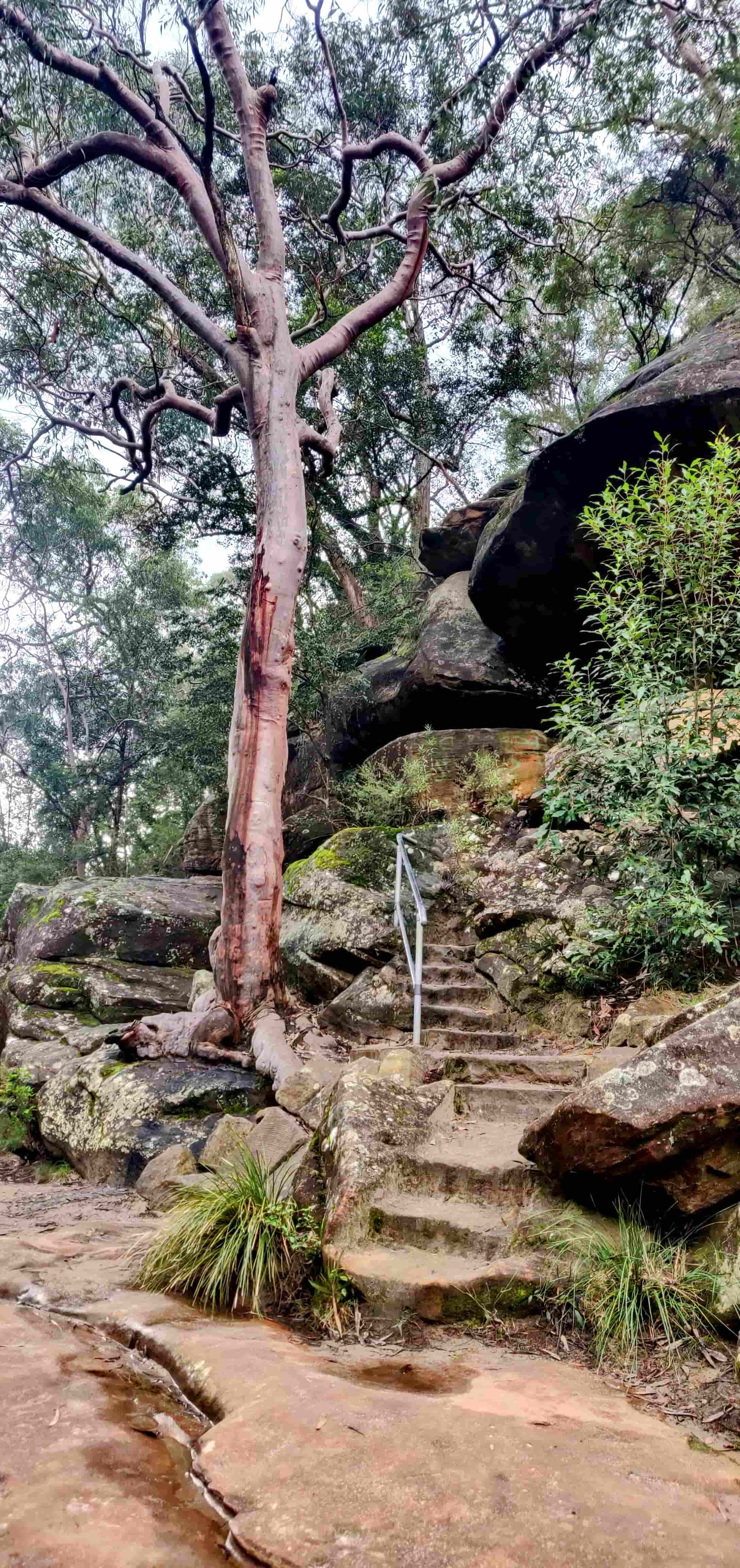 Jellybean Pool Pathway