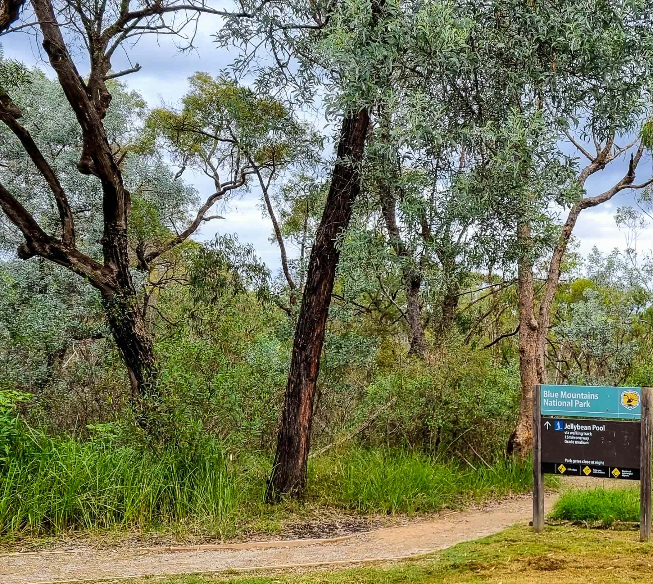 Start of the Jellybean Walking Track in Blue Mountains