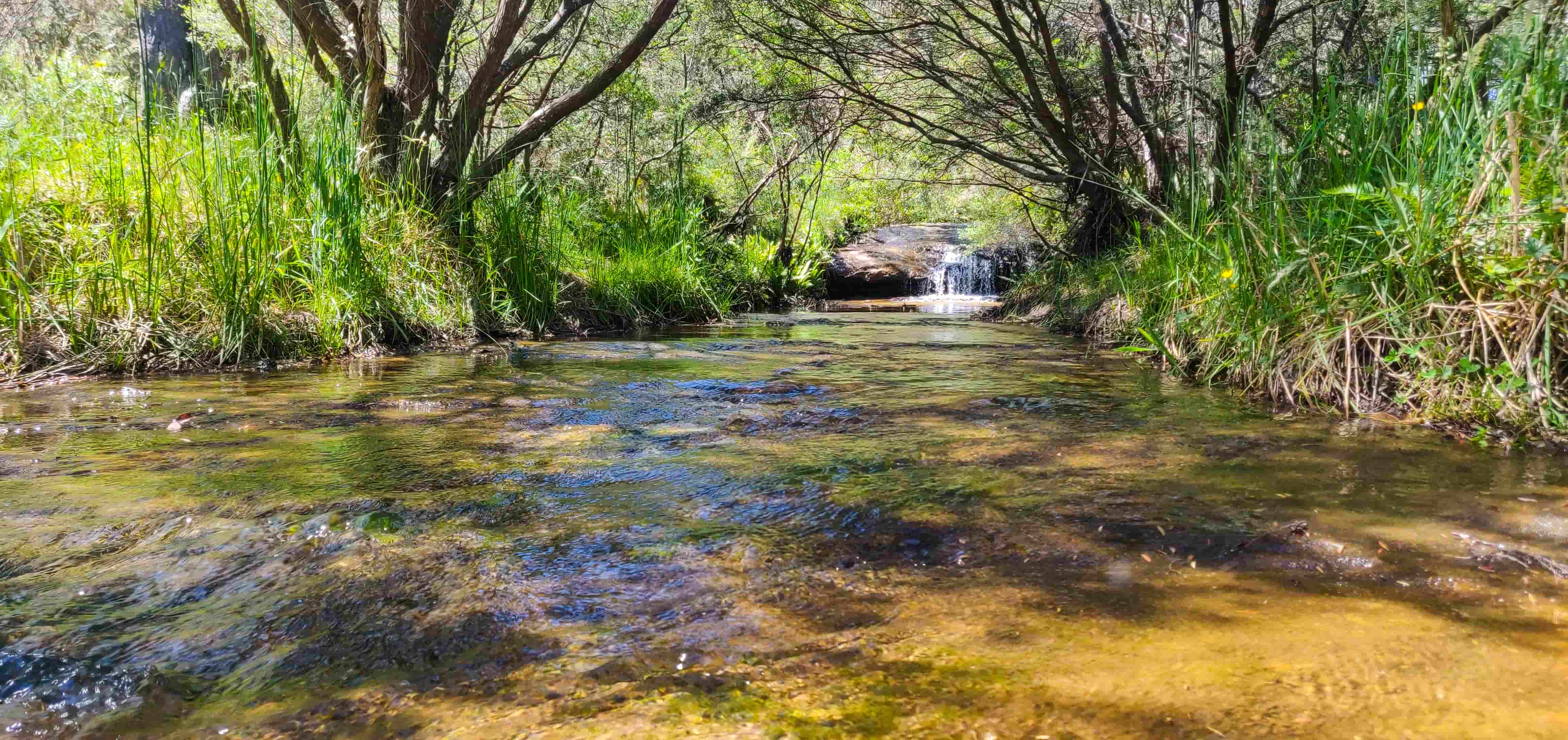 Waterways and Creek Crossings in Minnehaha Falls Walk