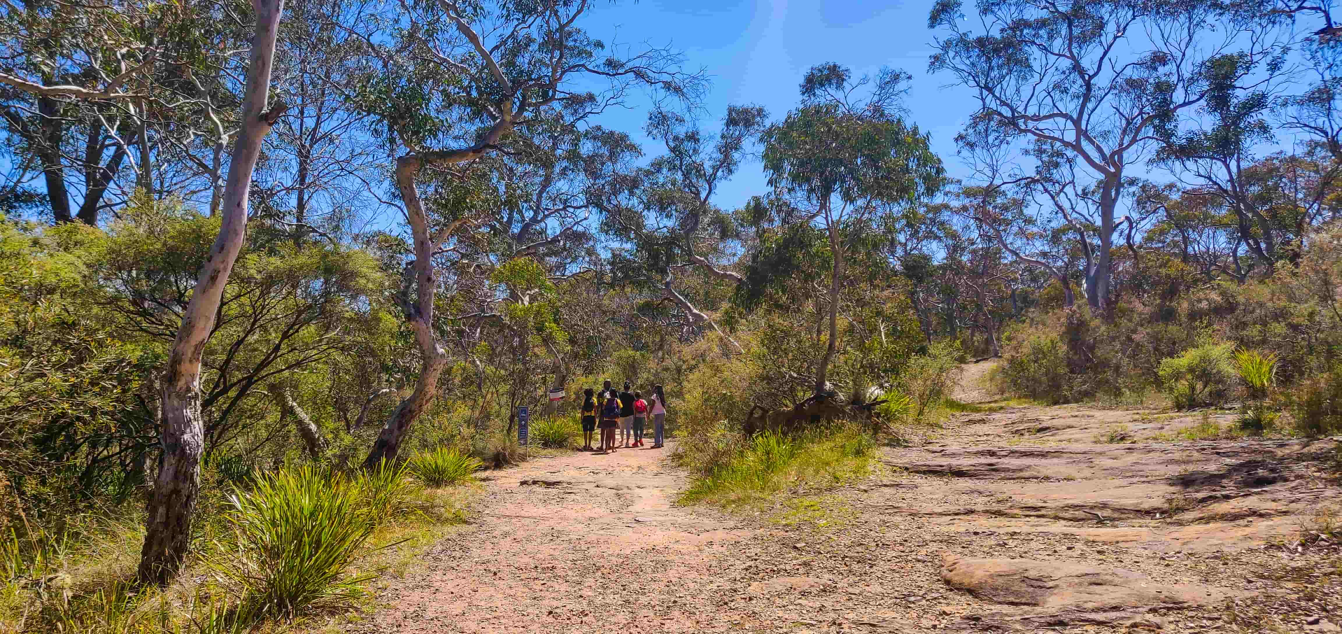 Minnehaha Falls Walking Trail