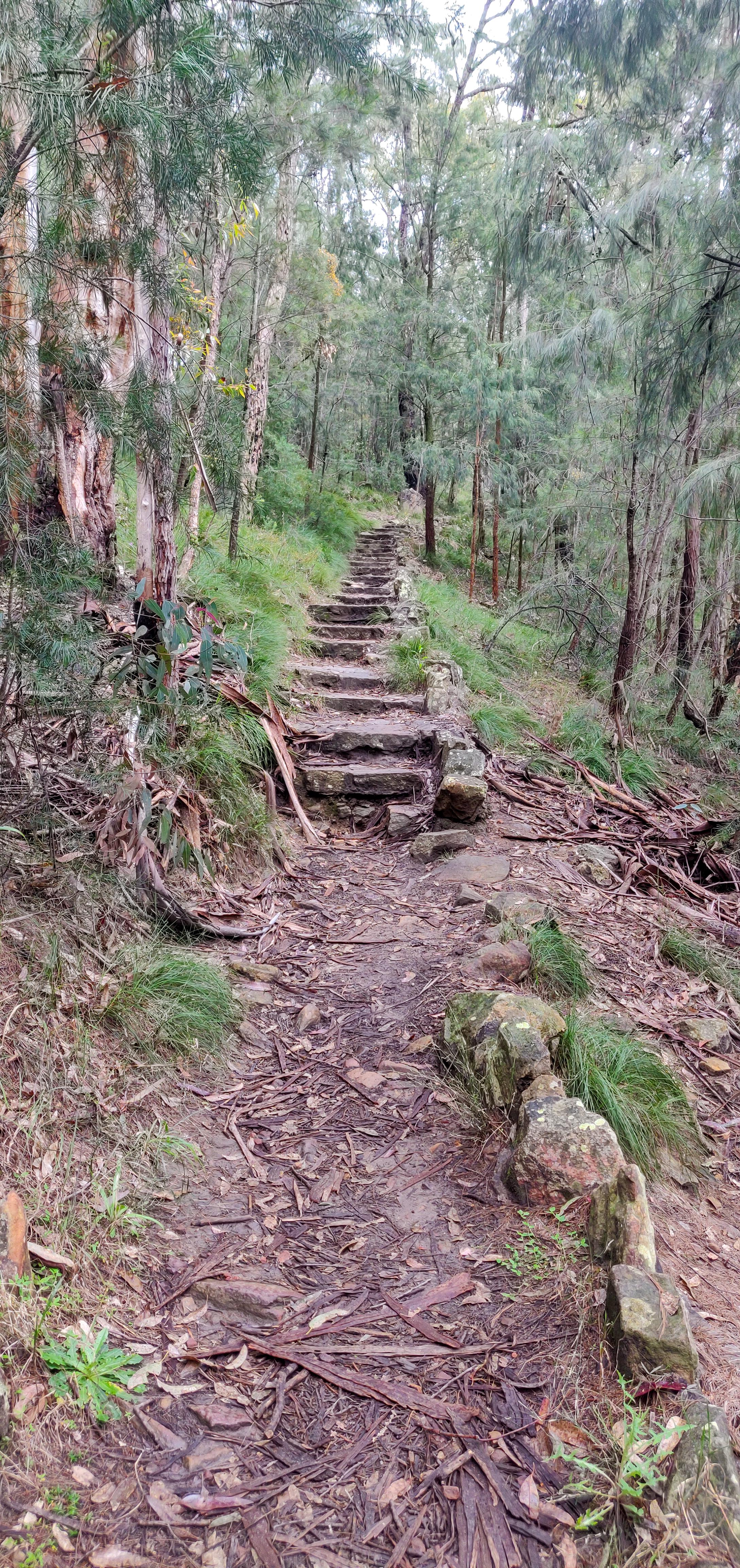 Stairs continuing to the zig zag walking track
