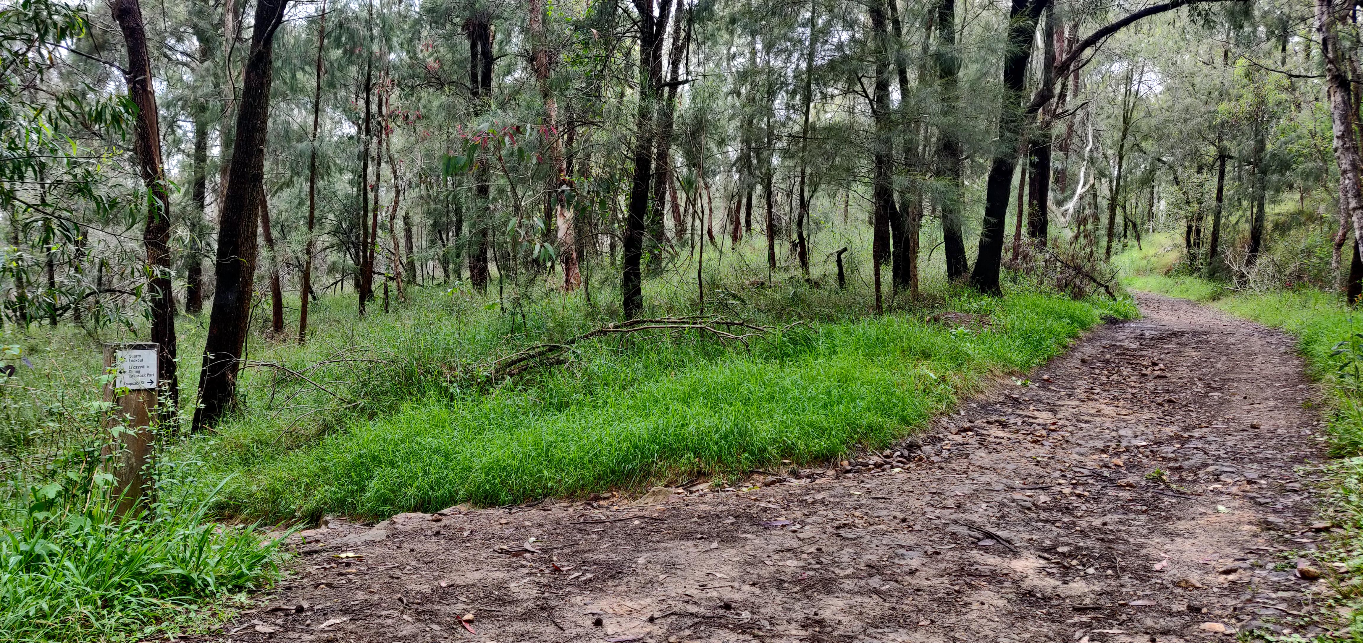 Lapstone Zig Zag Walk