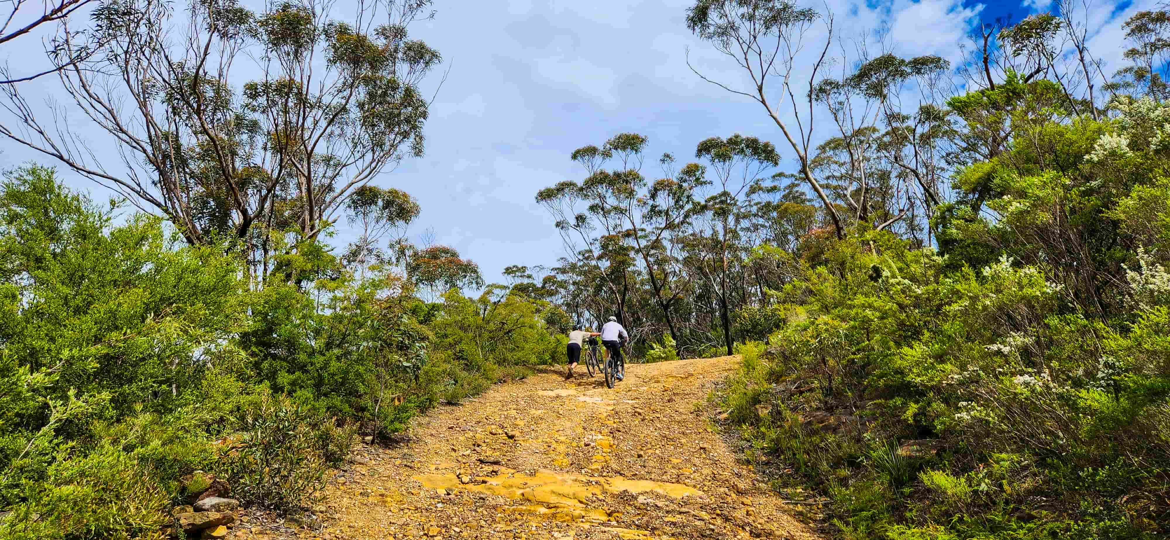 Steeper sections of Narrow Neck Trail
