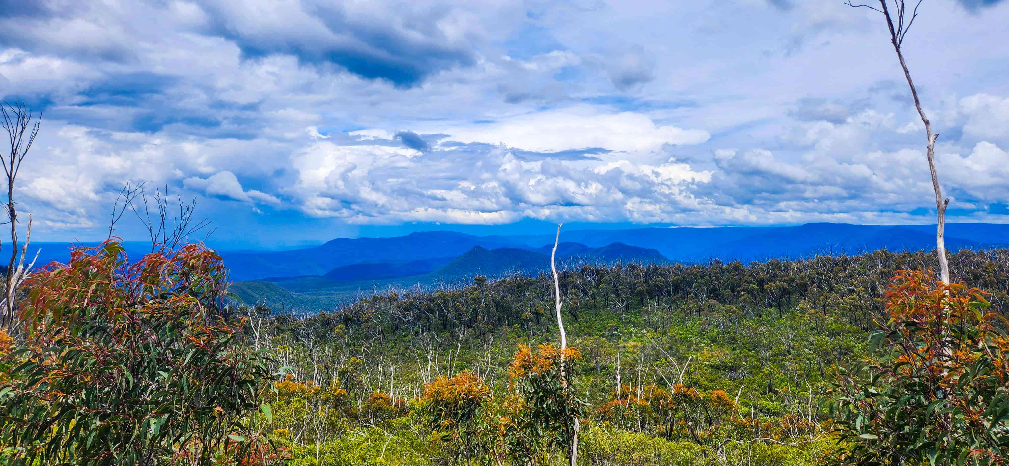 Lookouts along Narrow Neck Trail