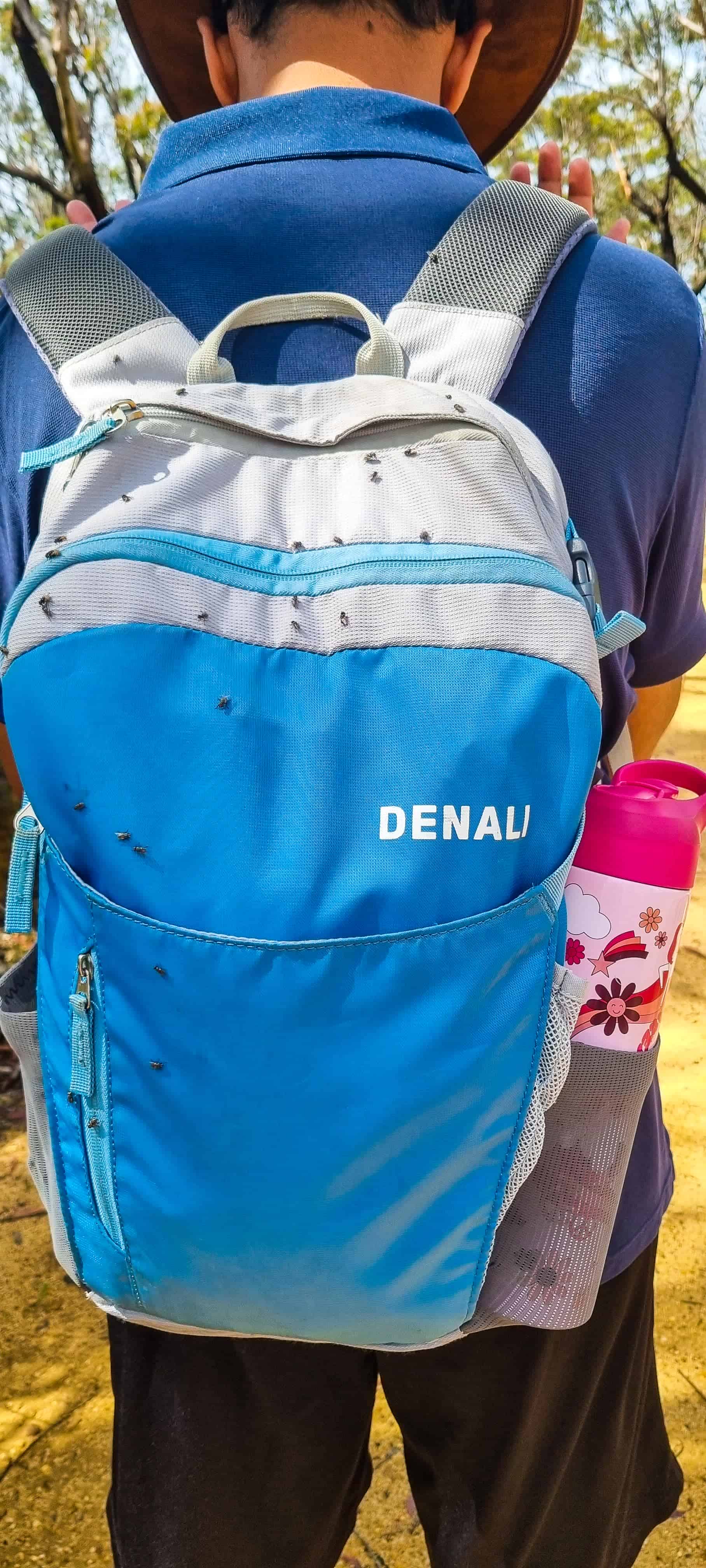 Flies along Narrow Neck Trail