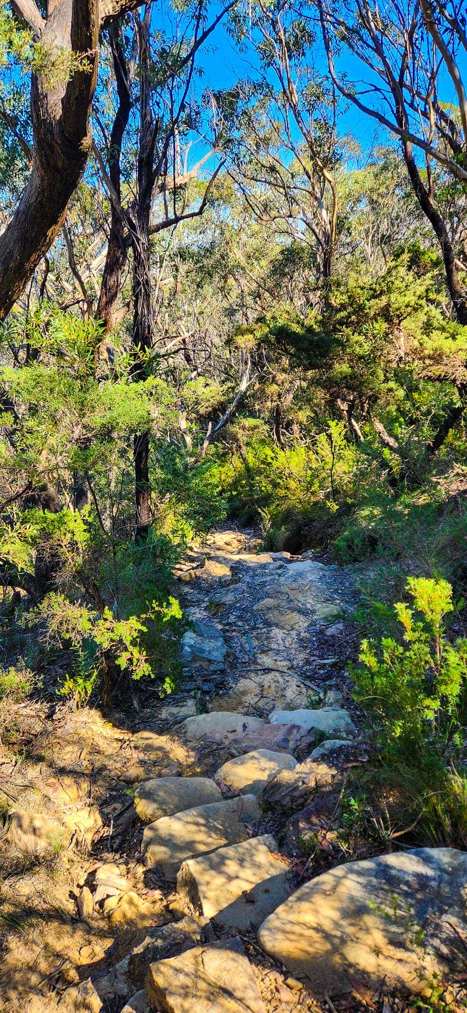 On the way to Lamberts Lookout