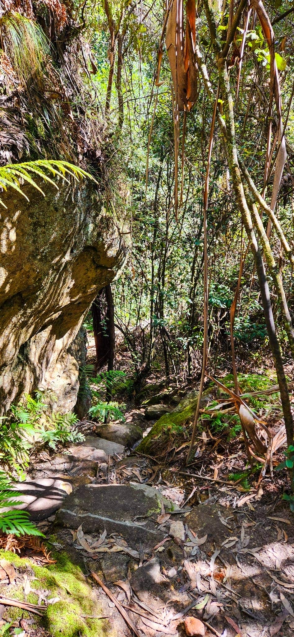 Steep Descent to Porters Pass Gully