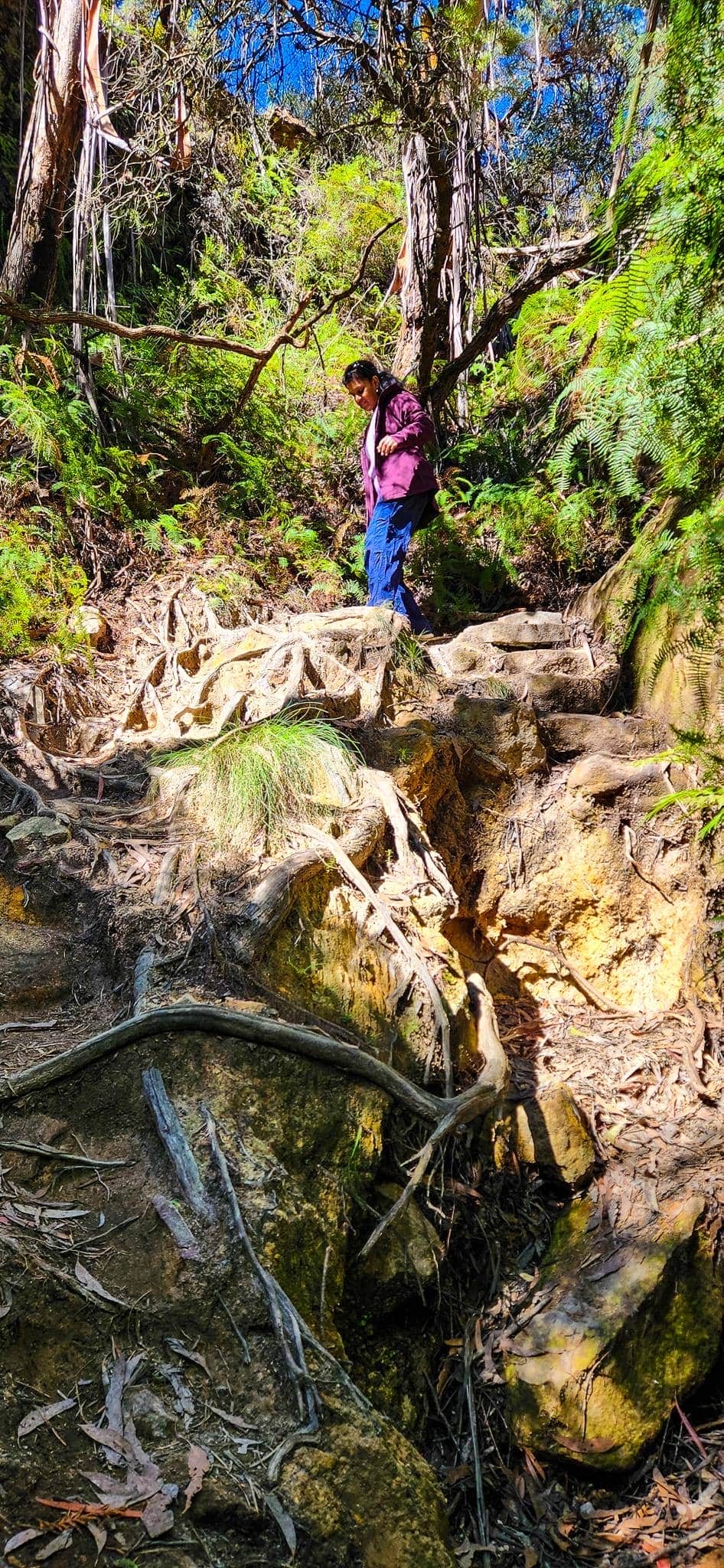 Steep Descent to Porters Pass Gully