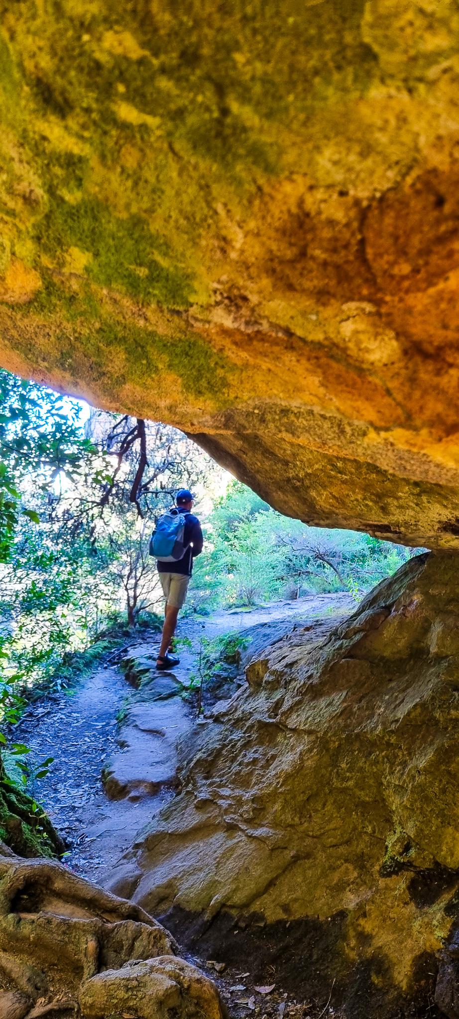 Walk alongside Porters Pass Gully