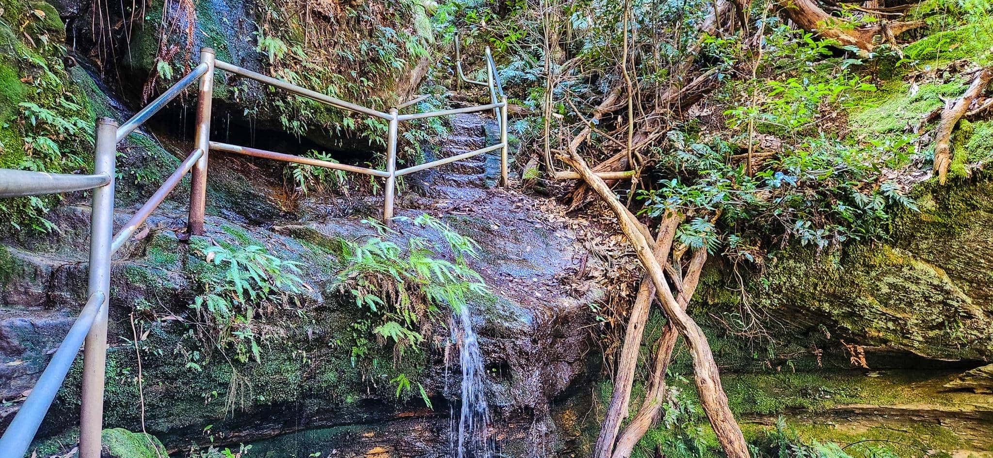 Porters Pass Track with handrails to assist safe passage alongside Porters Pass Gully