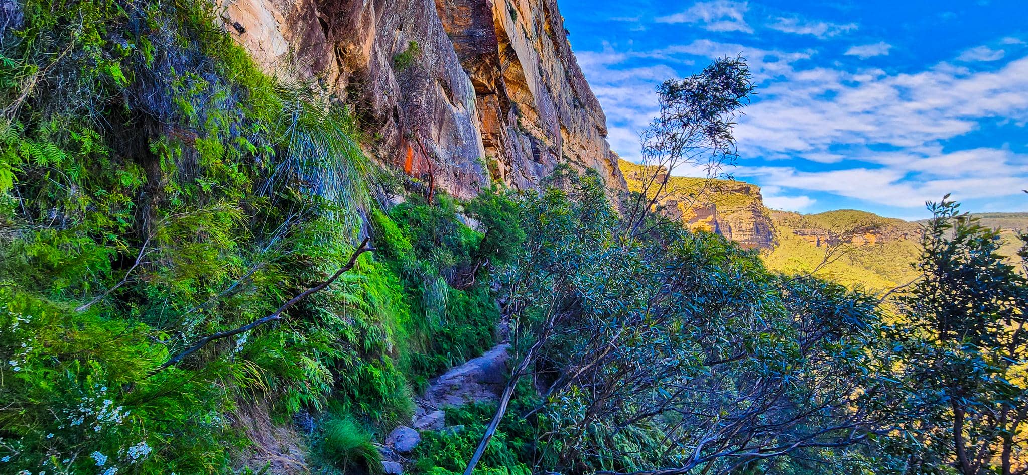 Towering sandstone cliffs along Colliers Causeway