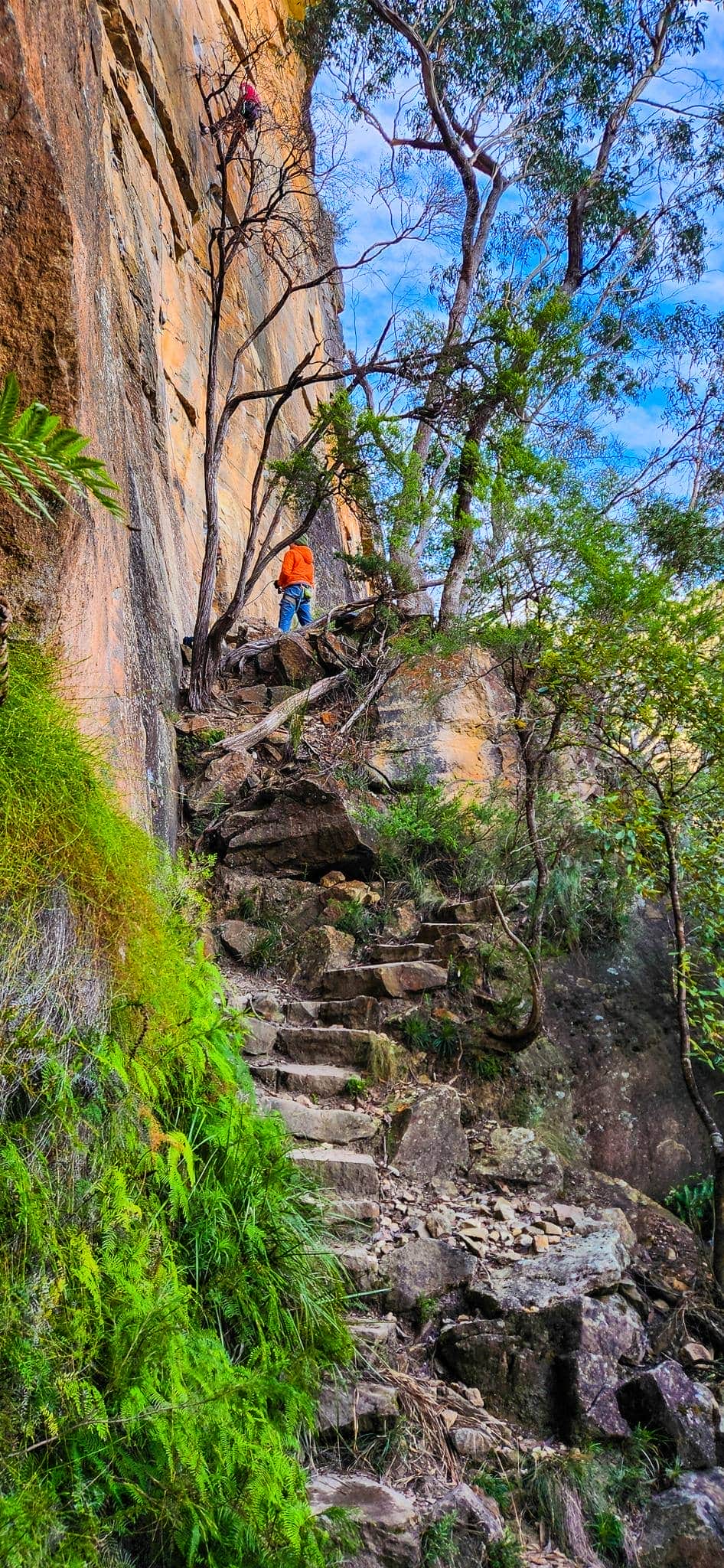 Rock climbers scaling the cliffs along Colliers Causeway