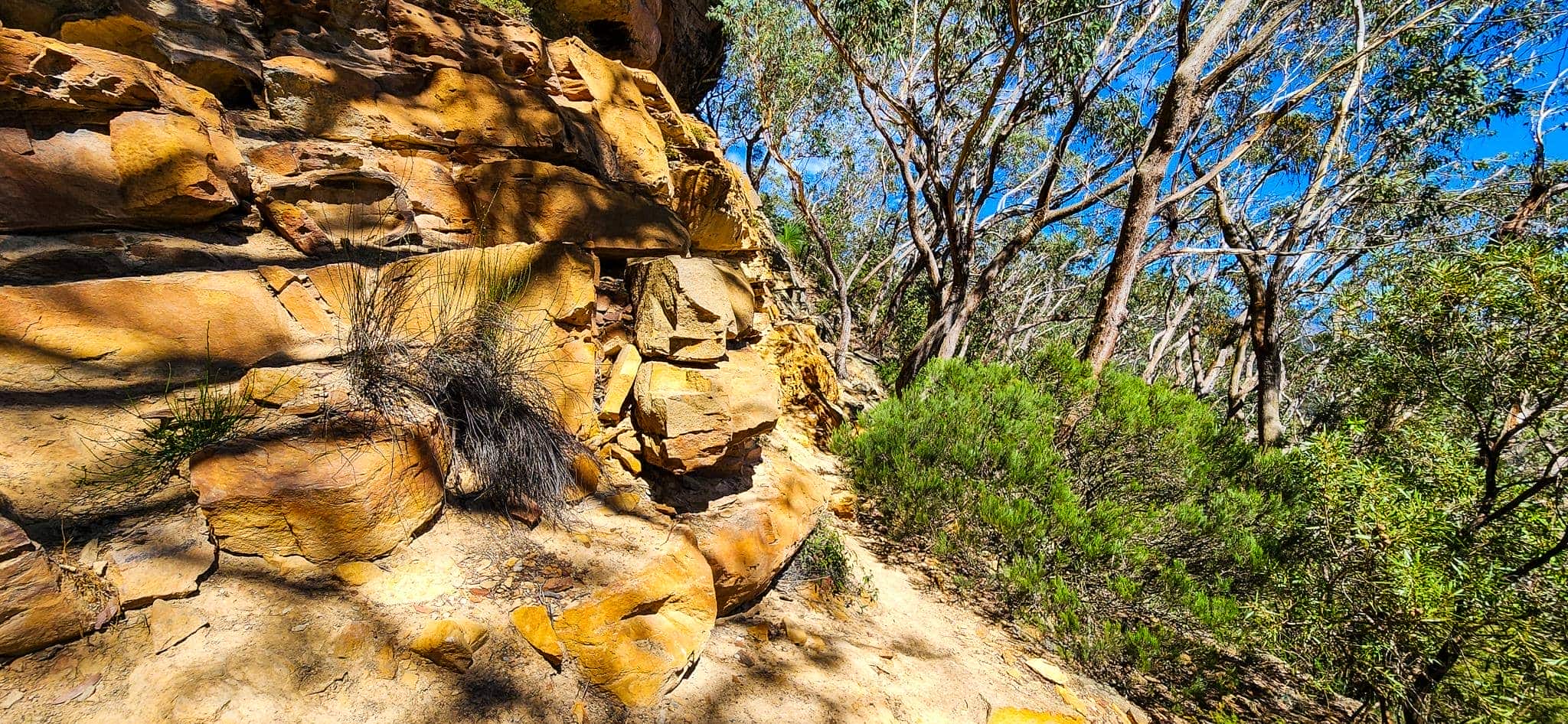 Colliers Causeway Walking Track