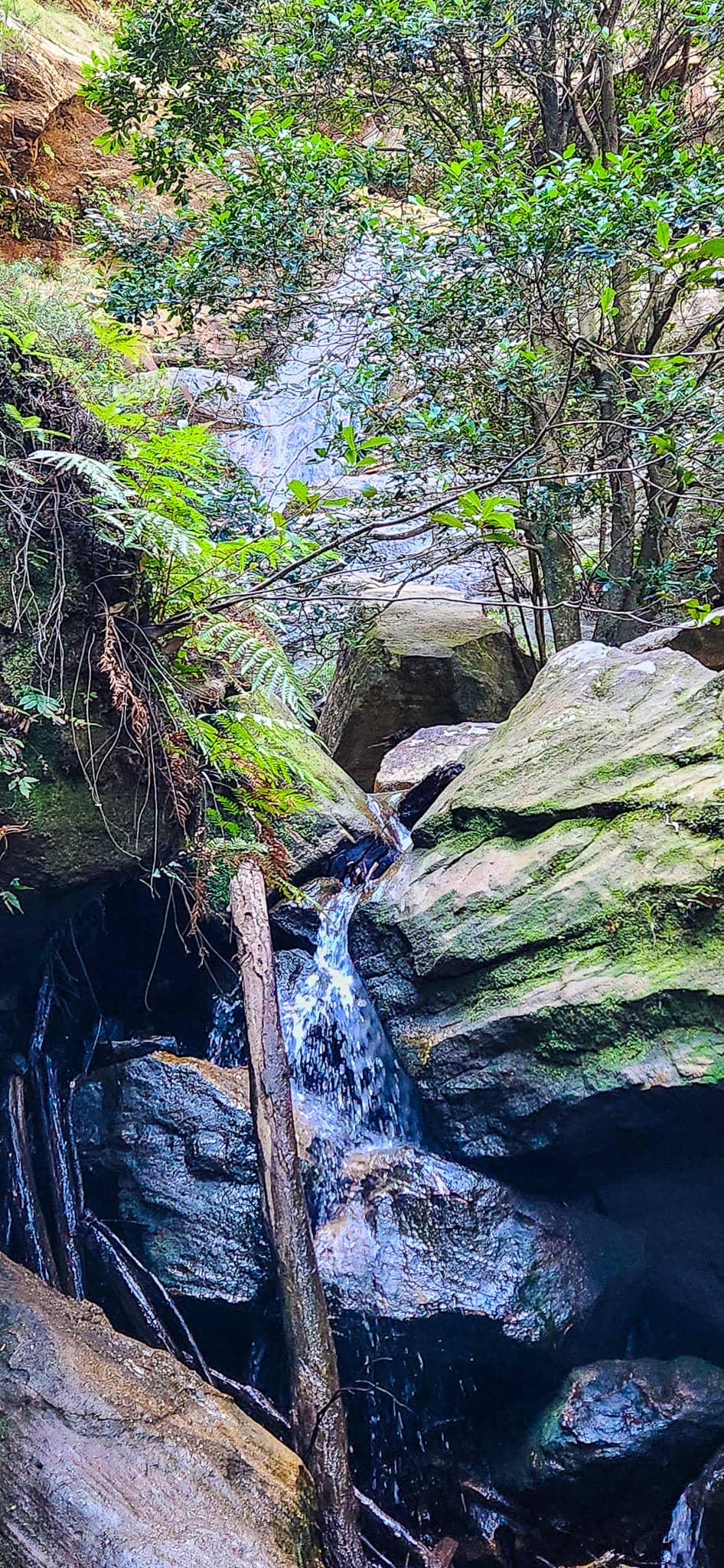 The base of the Slippery Dip Falls