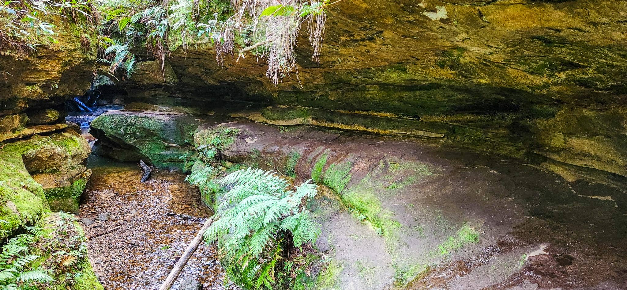 Centennial Grove Grotto (The Grotto)