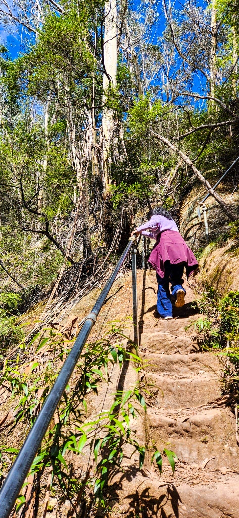 Entering Centennial Glen via steep steps