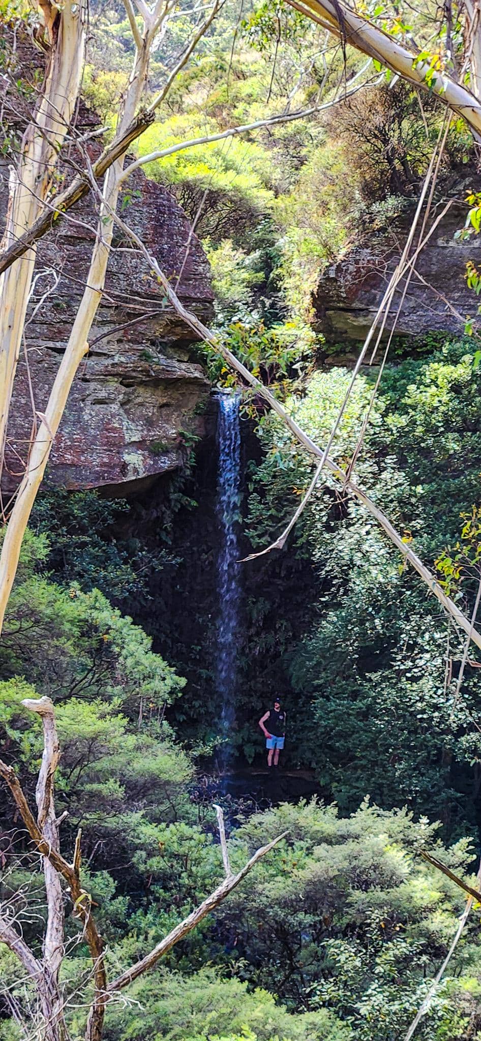 Centennial Falls from distance