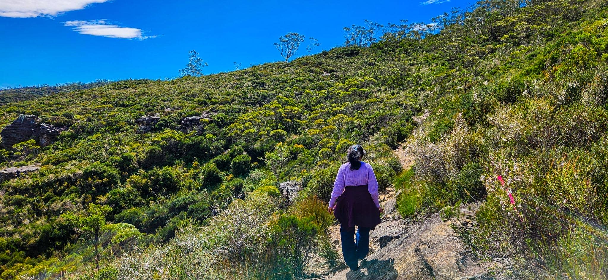 Returning to Trailhead via Cliff Top Track