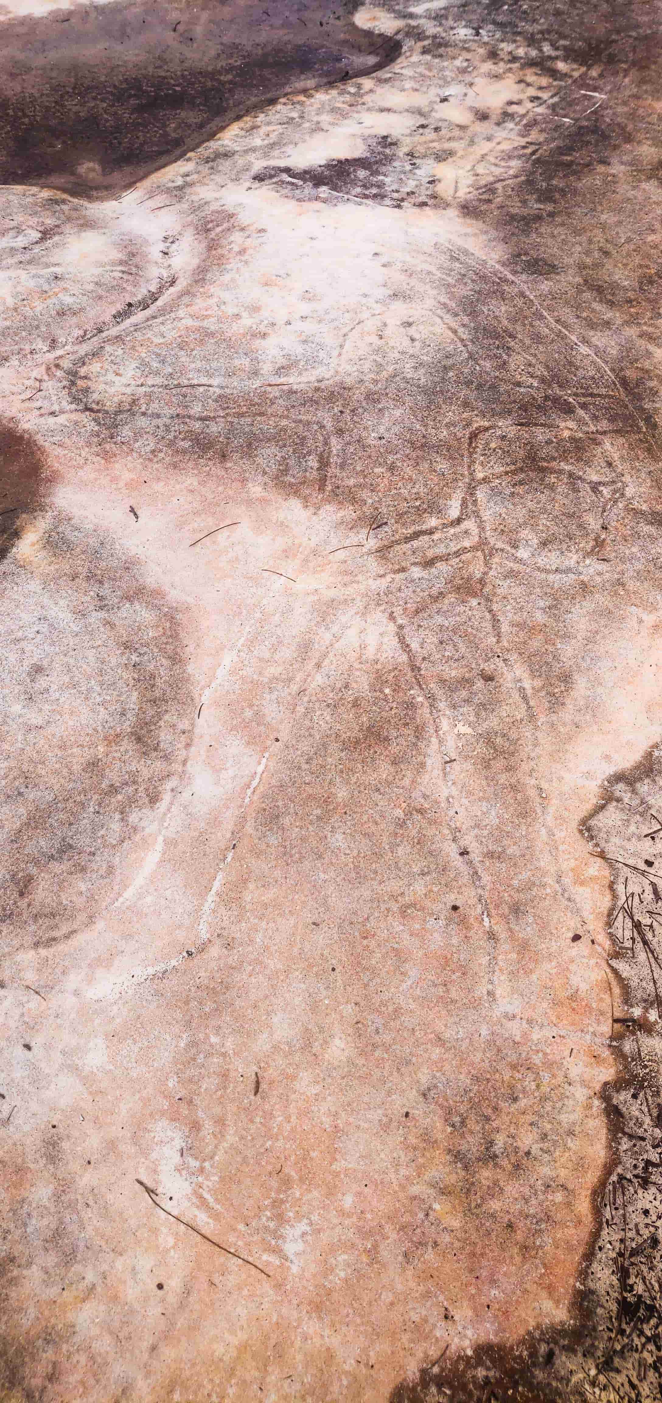 Aboriginal Engravings