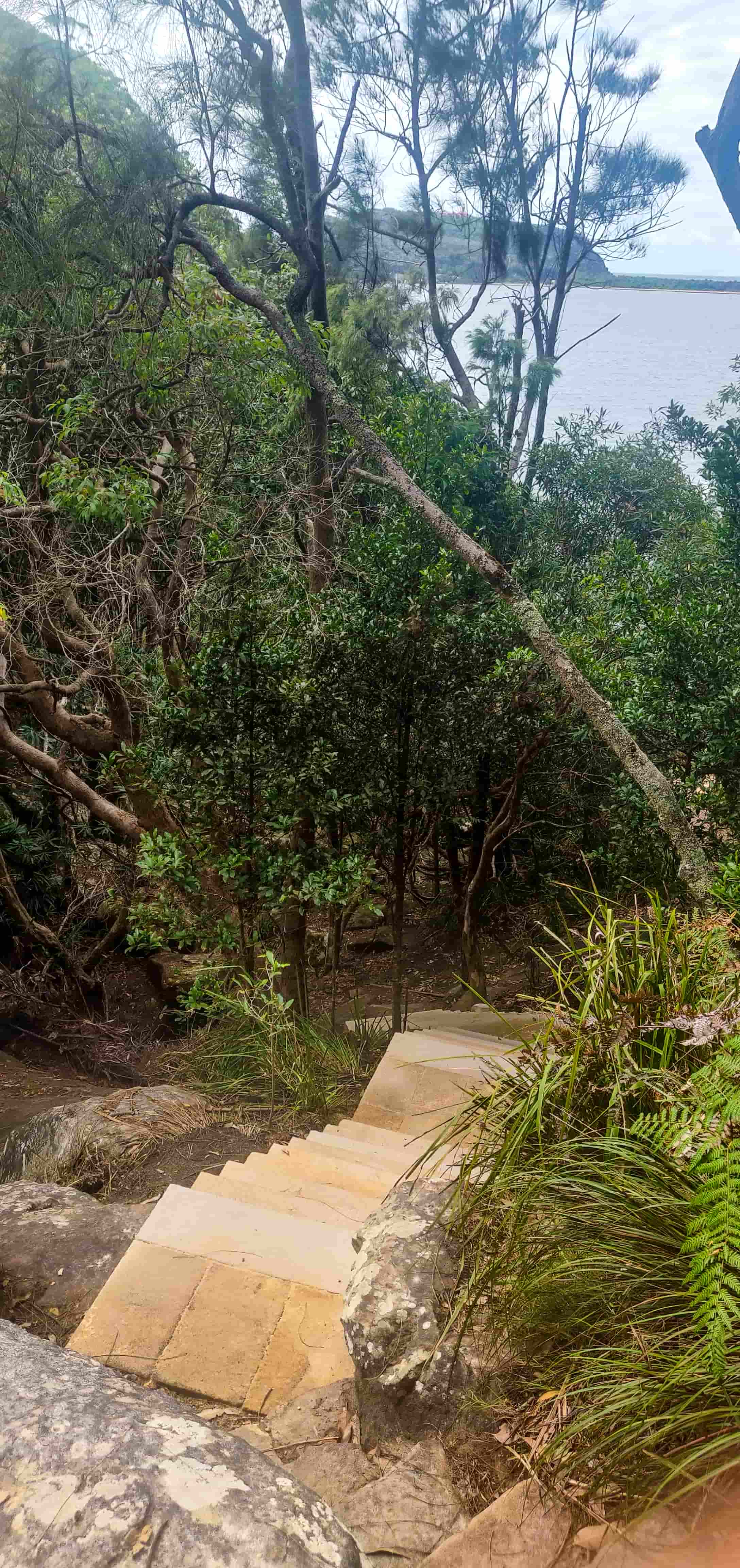 Steps to Resolute Beach