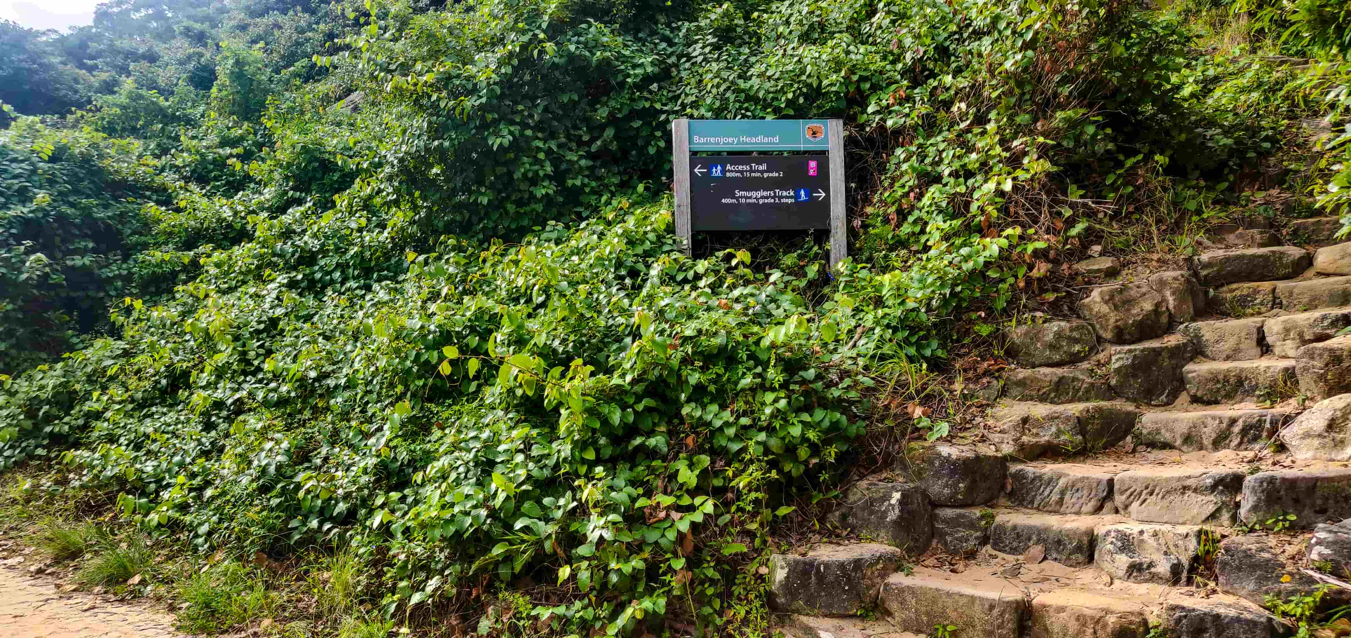 Barrenjoey Lighthouse Walk Smugglers Track Intersection