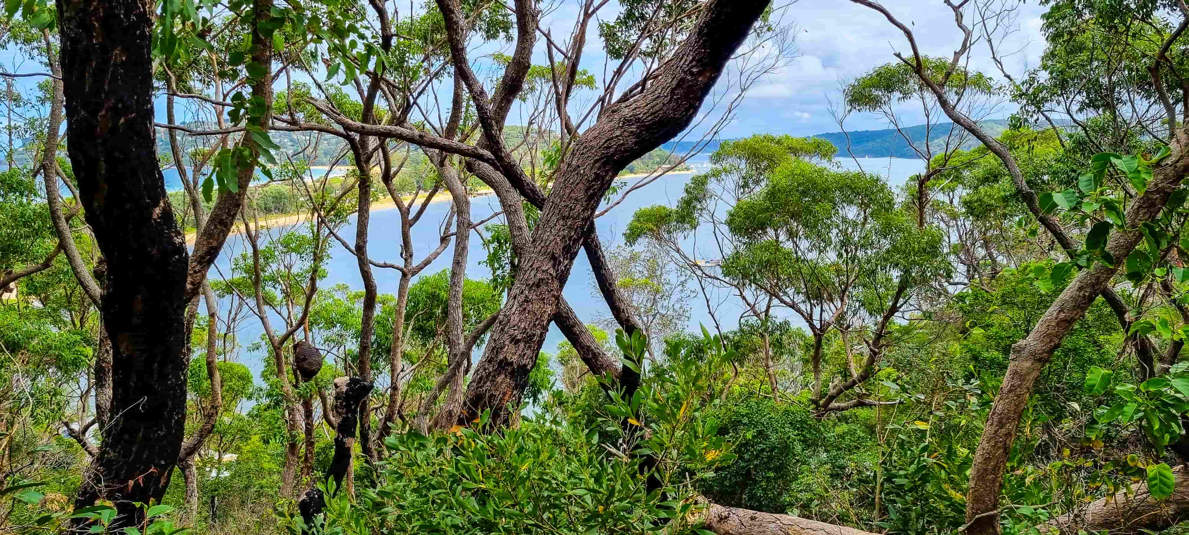 Barrenjoey Lighthouse Walk Bay View