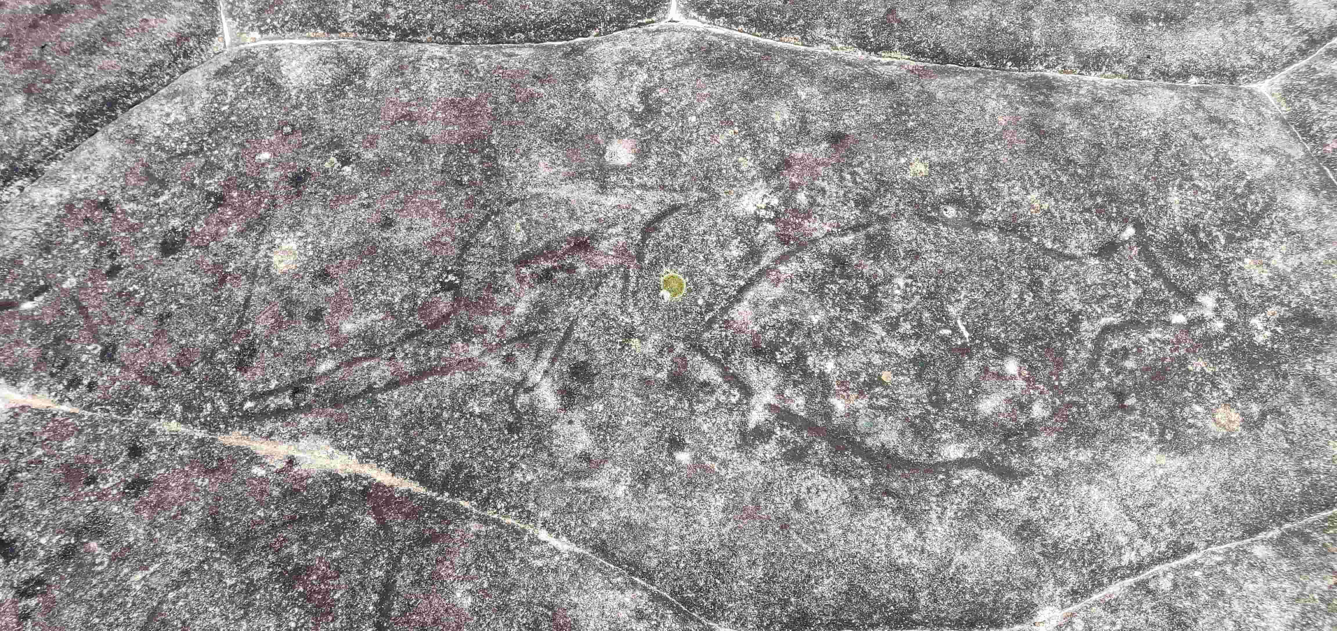 Basin Aboriginal Engravings